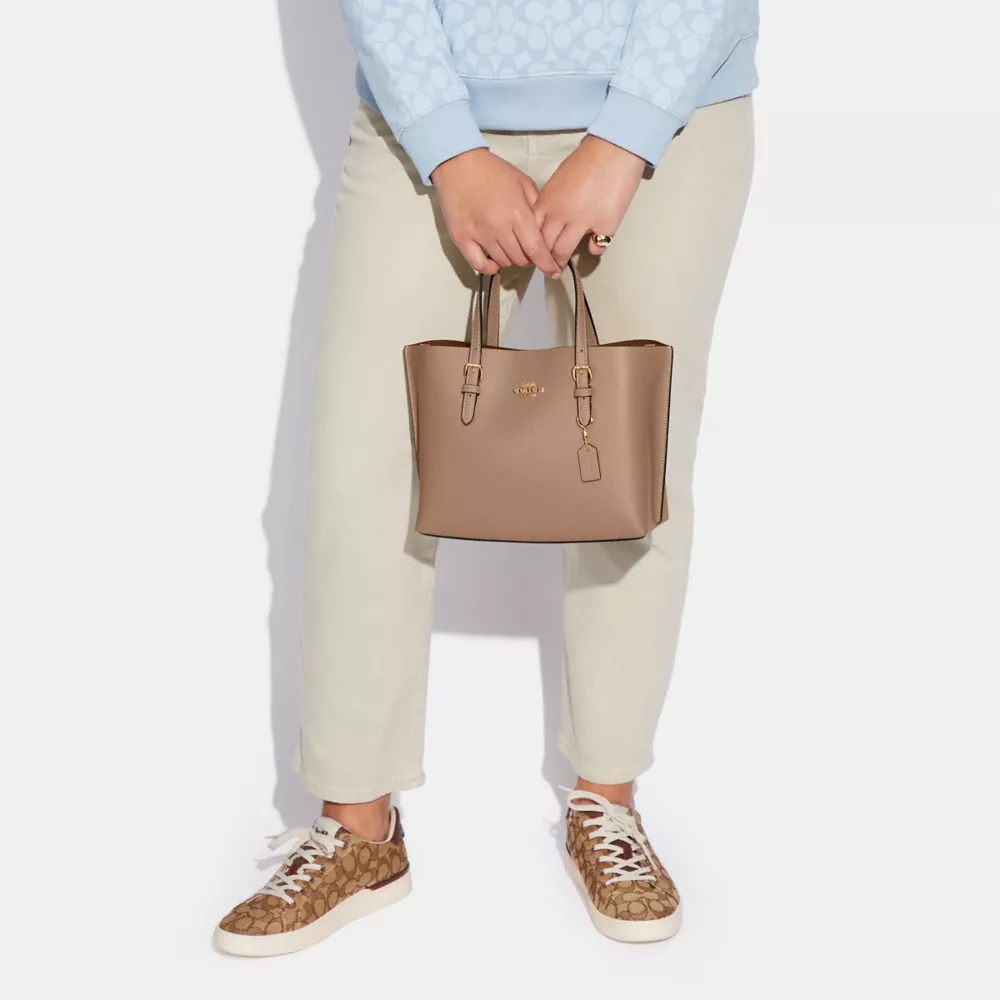 Сумка COACH Mollie Tote Bag 25