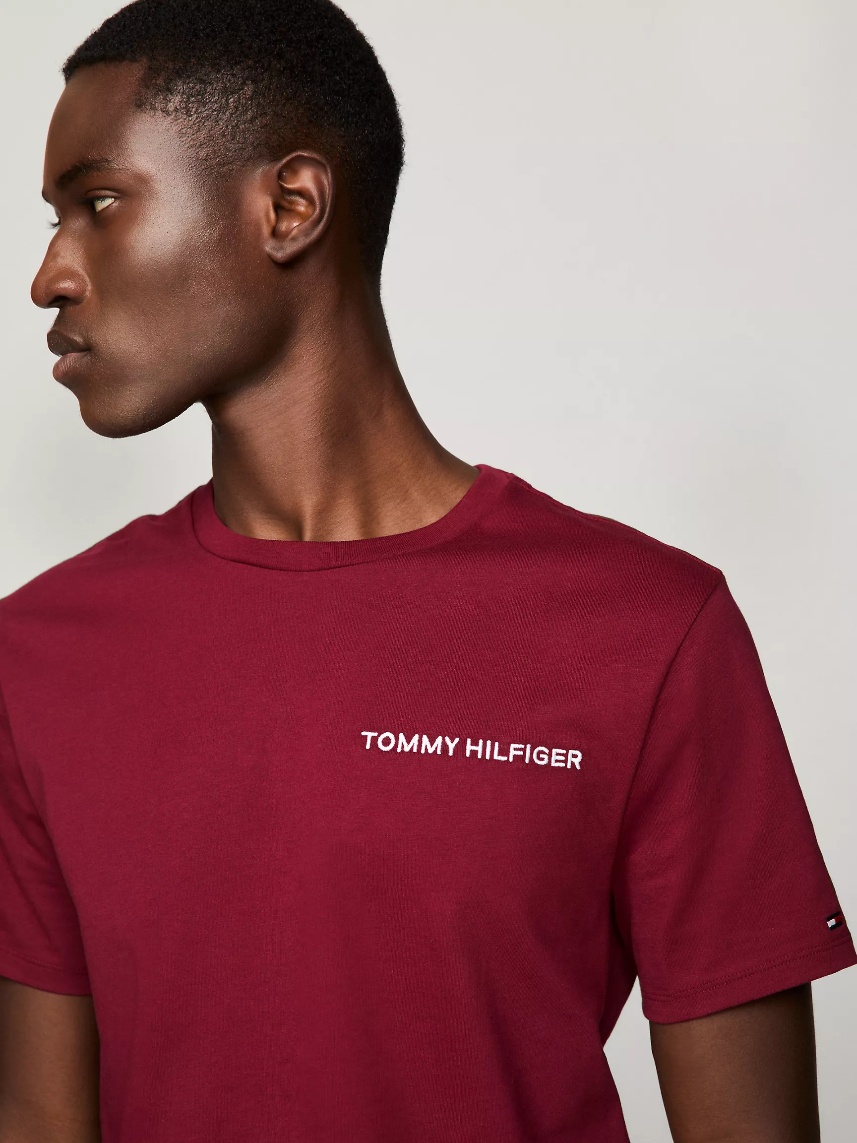 Мужская футболка Tommy Hilfiger, Футболка с вышитым логотипом Hilfiger Icon