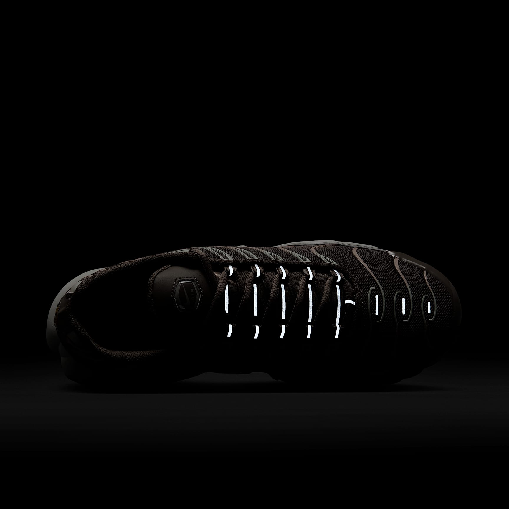 Nike Air Max Plus Women's Shoes