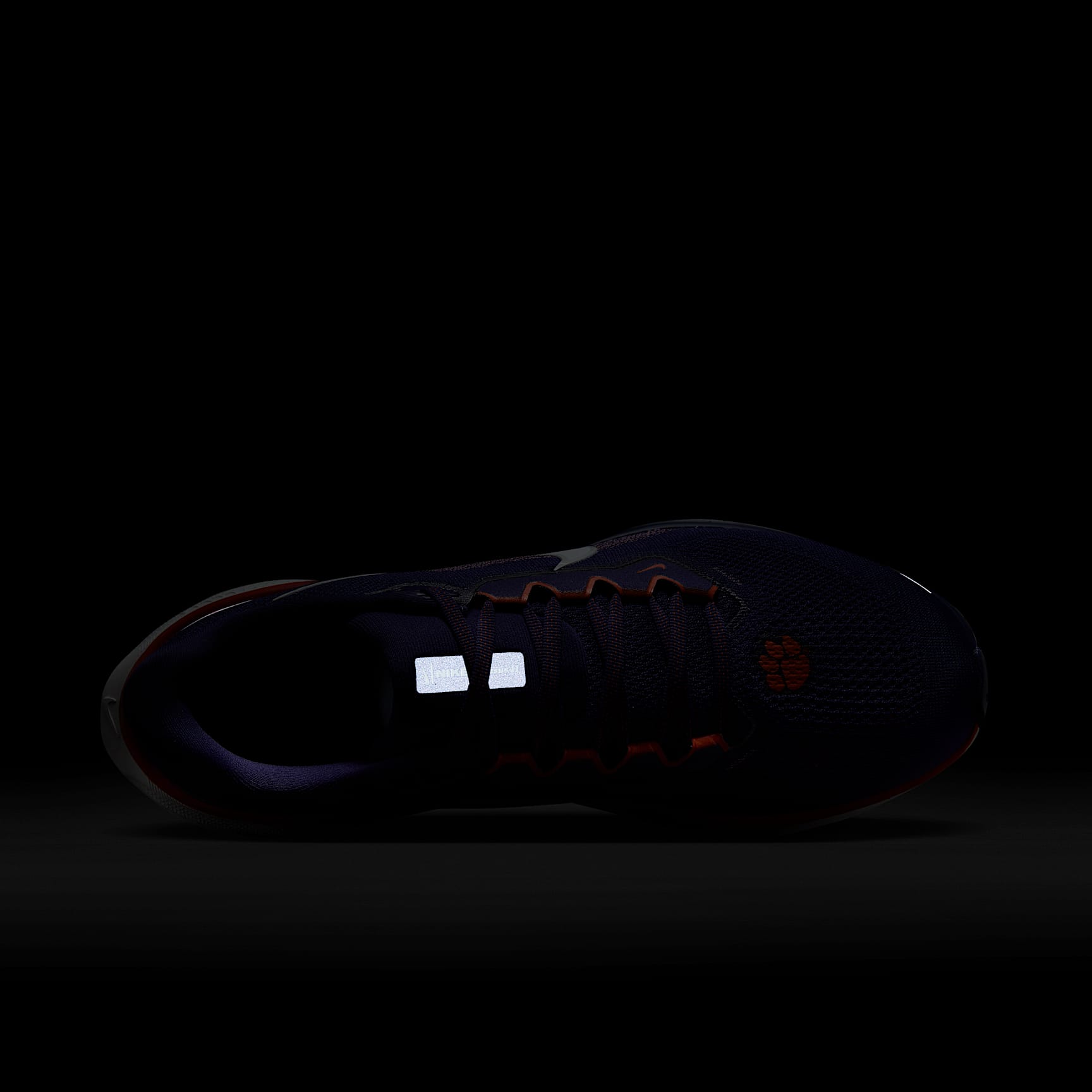 Clemson Pegasus 41 Men's Nike College Road Running Shoes