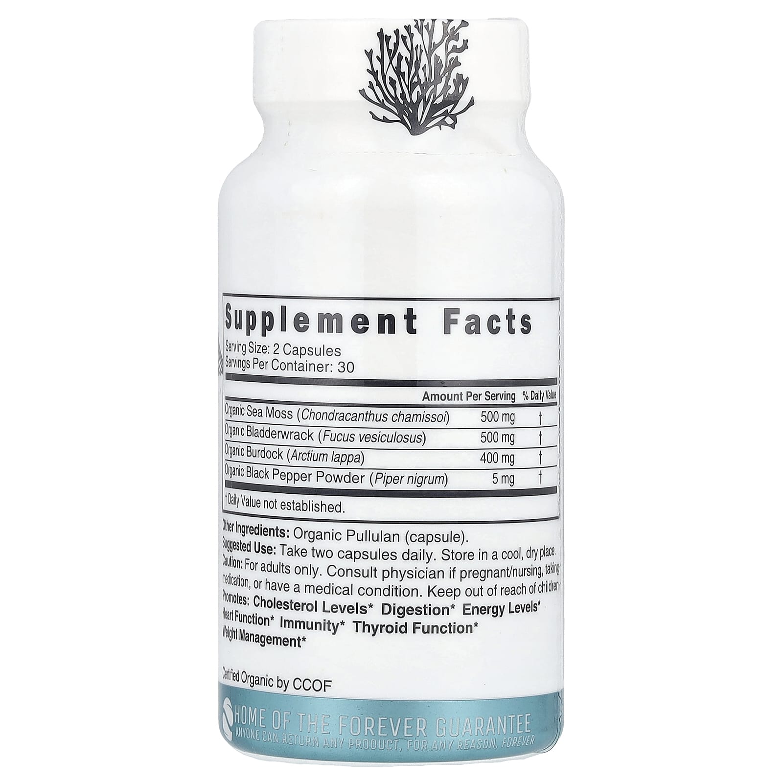 Nutri, Органический морской мох, 1400 мг, 60 органических капсул (700 мг на капсулу)