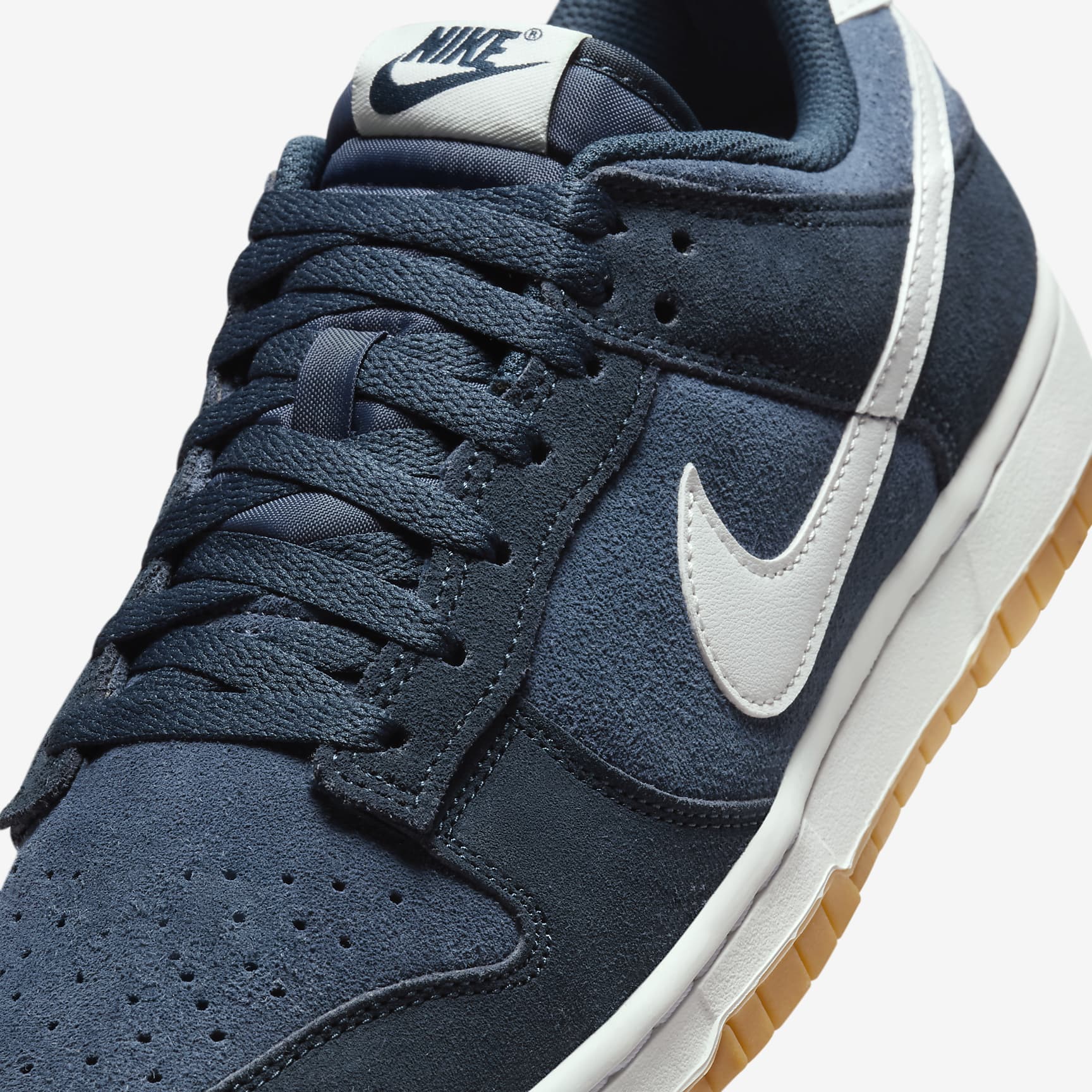 Nike Dunk Low Retro SE Men's Shoes