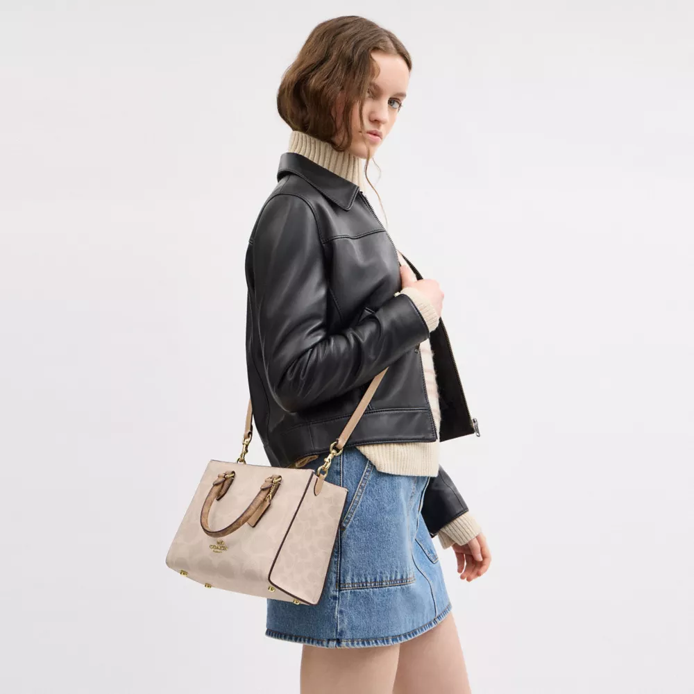 Сумка COACH Maggie Small Tote Bag In Blocked Signature Canvas