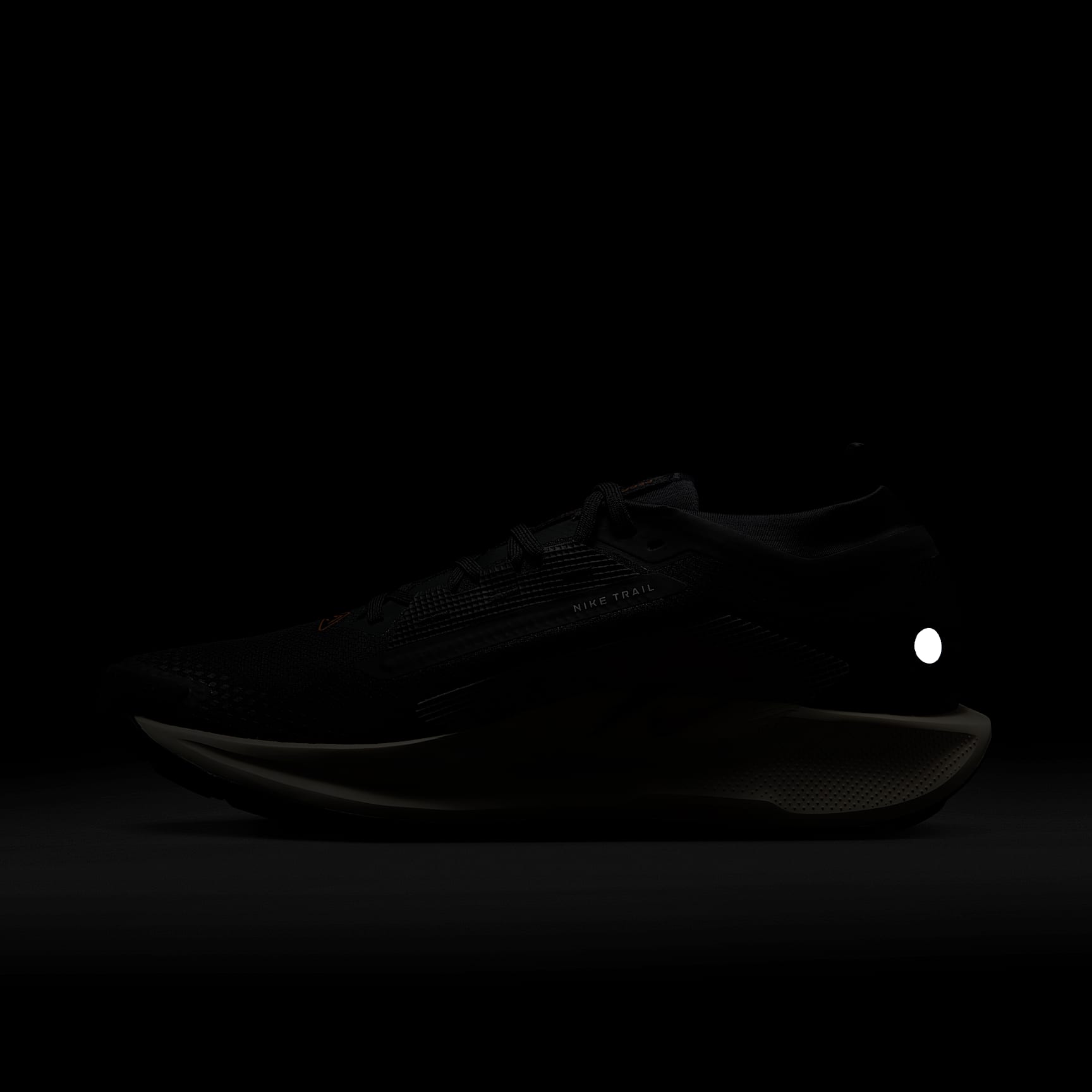 Nike Pegasus Trail 5 GORE-TEX Men's Waterproof Trail Running Shoes
