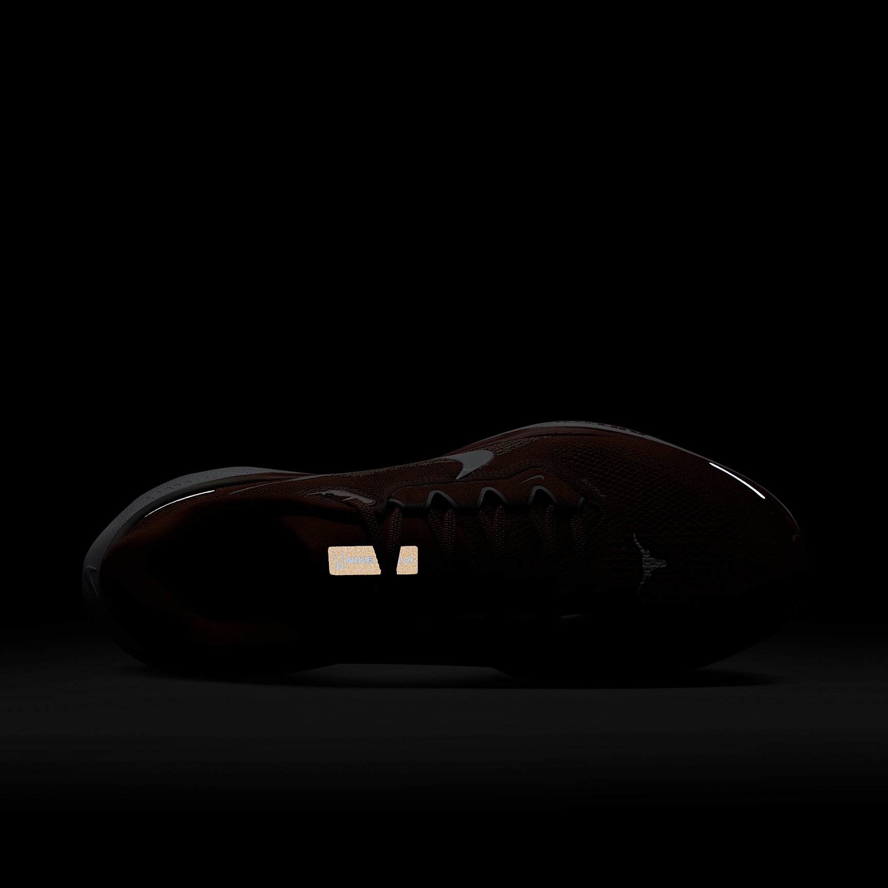 Texas Pegasus 41 Men's Nike College Road Running Shoes