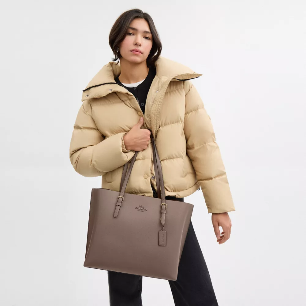 Сумка COACH Mollie Tote Bag