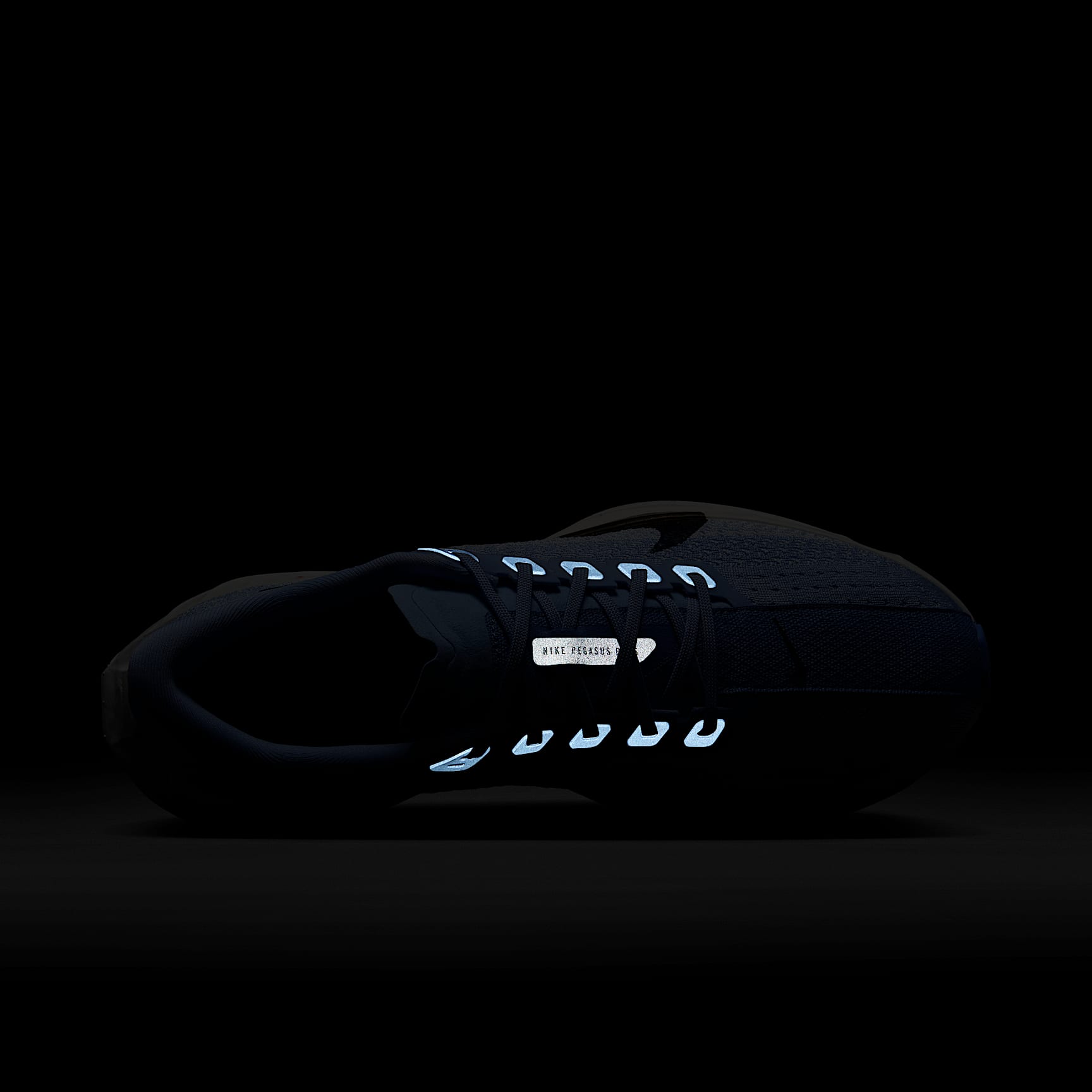 Nike Pegasus Plus Women's Road Running Shoes