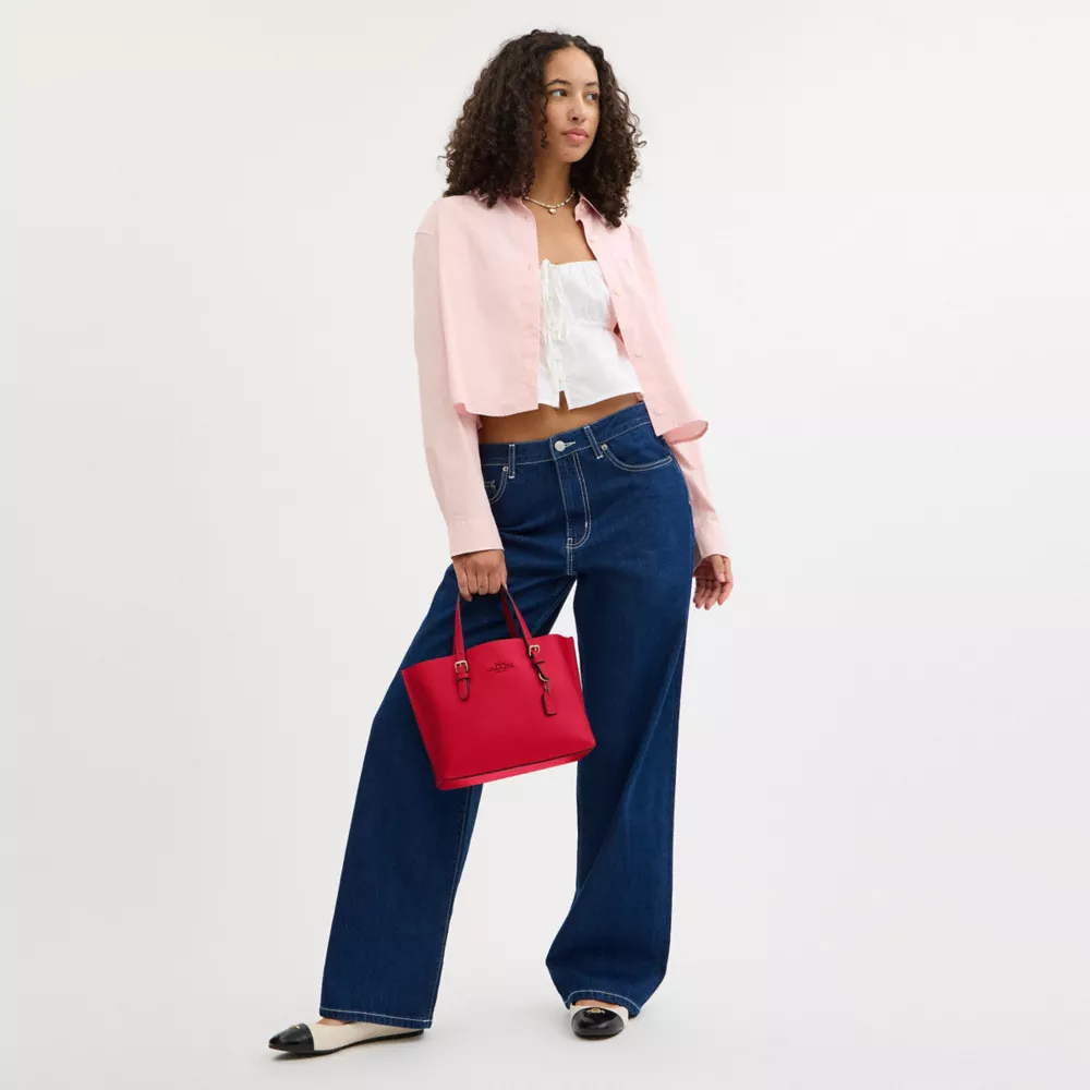 Сумка COACH Mollie Tote Bag 25