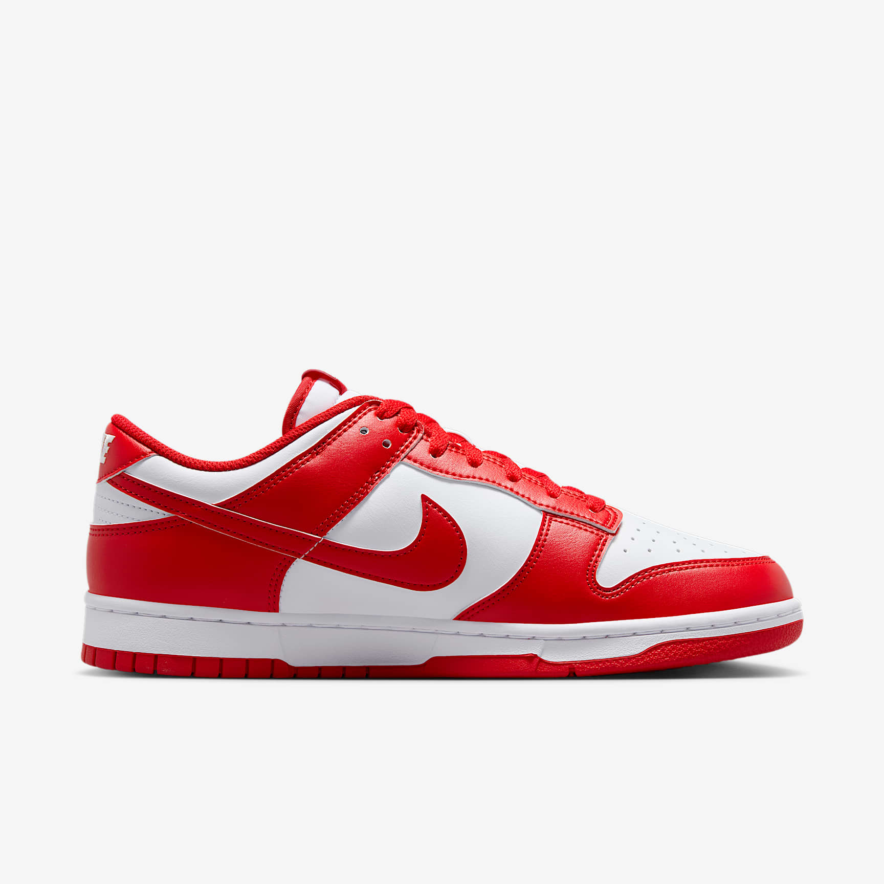 Nike Dunk Low Retro Men's Shoes