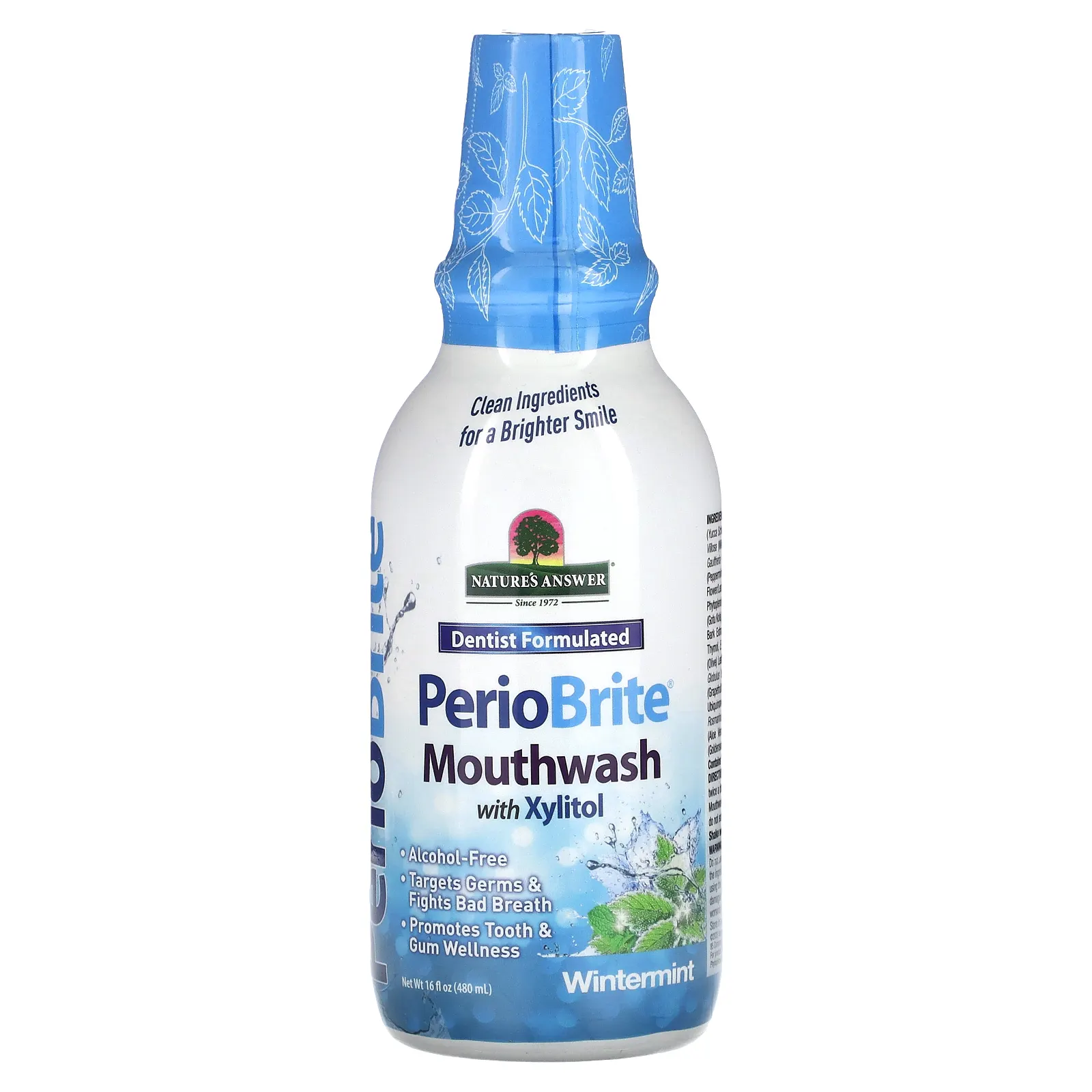 Nature's Answer, PerioBrite, ополаскиватель для рта с ксилитолом, зимняя мята, 480 мл (16 жидк. унций)