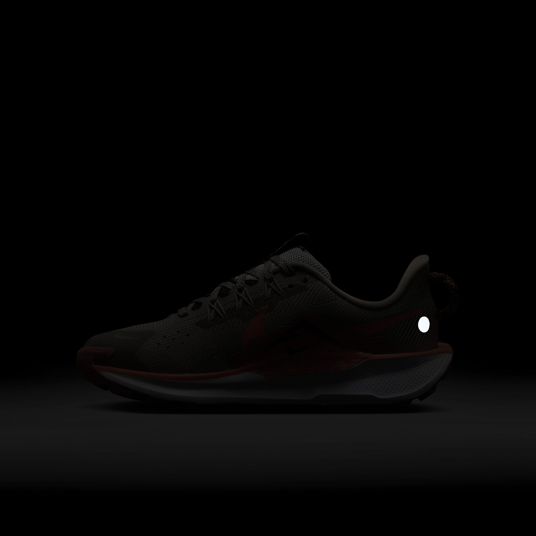 Nike Pegasus Trail 5 Big Kids' Trail Running Shoes