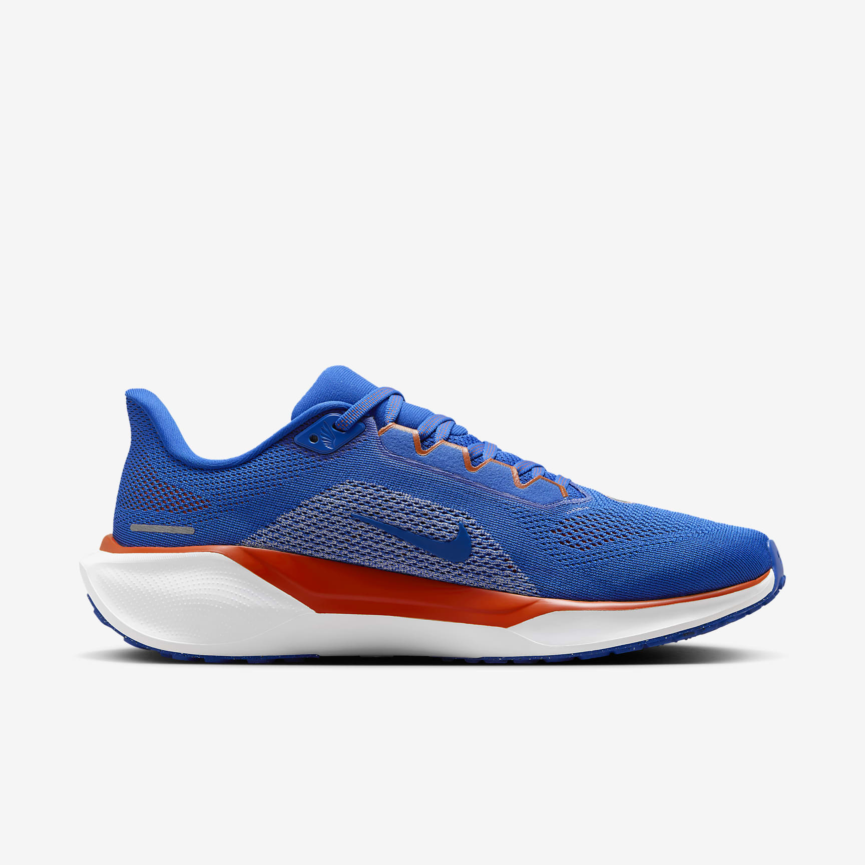 Florida Pegasus 41 Men's Nike College Road Running Shoes