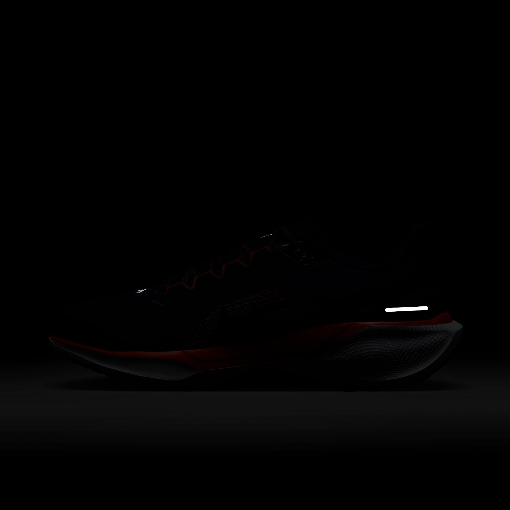 Nike Pegasus 41 NFL Denver Broncos Men's Road Running Shoes