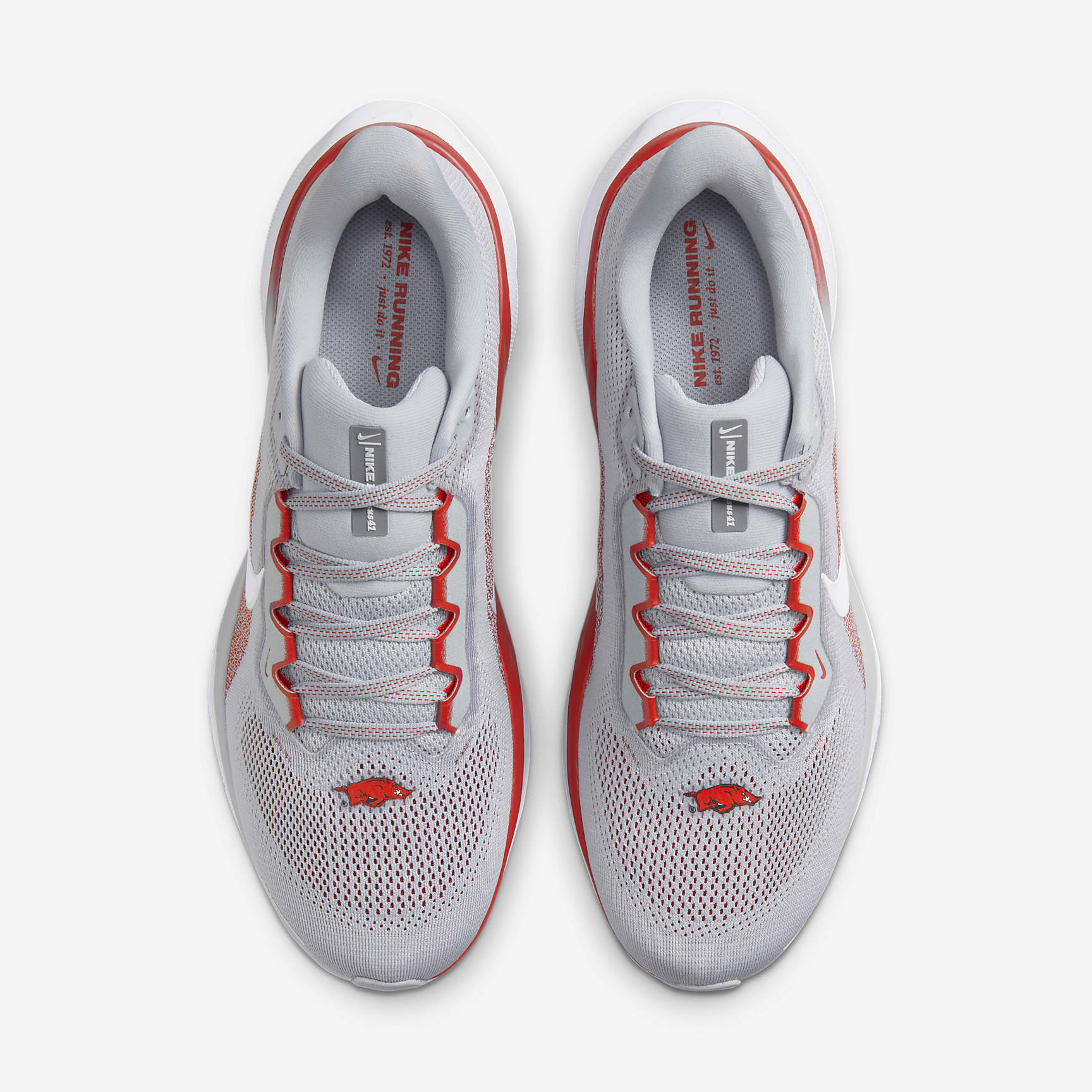 Arkansas Pegasus 41 Men's Nike College Road Running Shoes