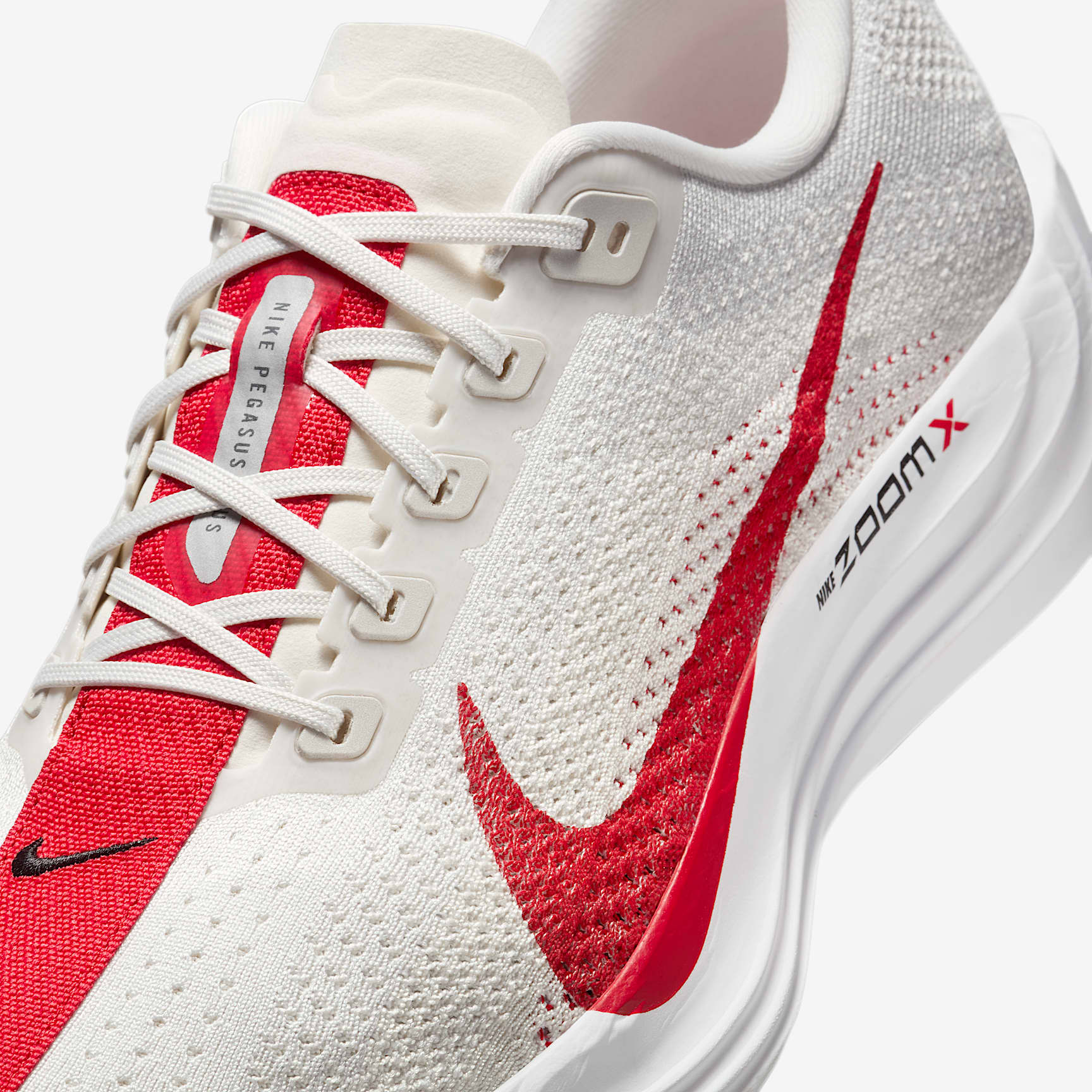 Nike Pegasus Plus Men's Road Running Shoes