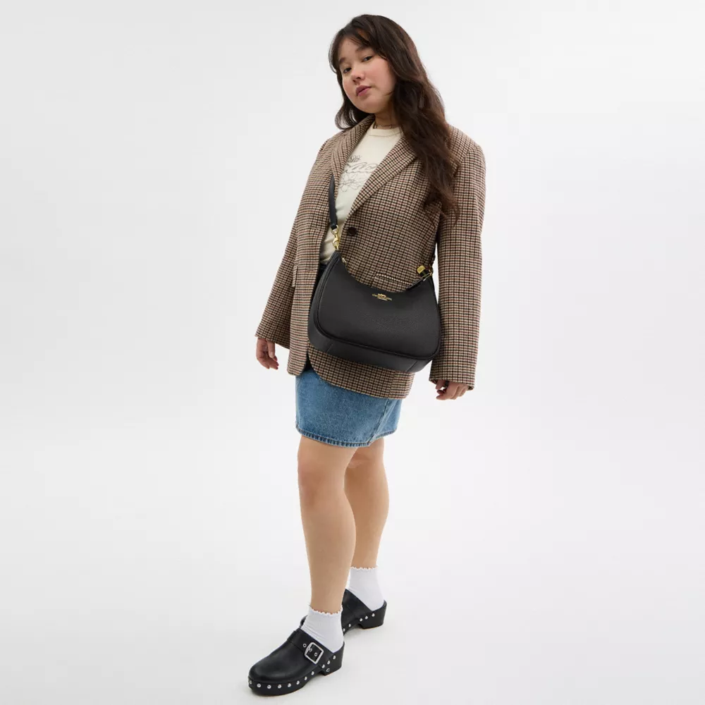 Сумка COACH Teri Hobo Bag