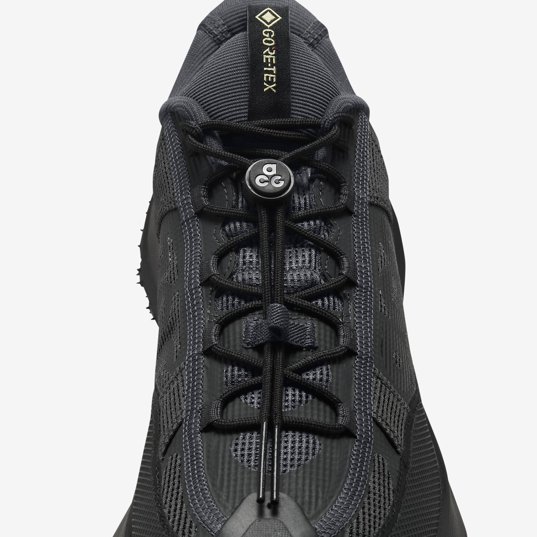 Nike ACG Mountain Fly 2 Low GORE-TEX Men's Shoes