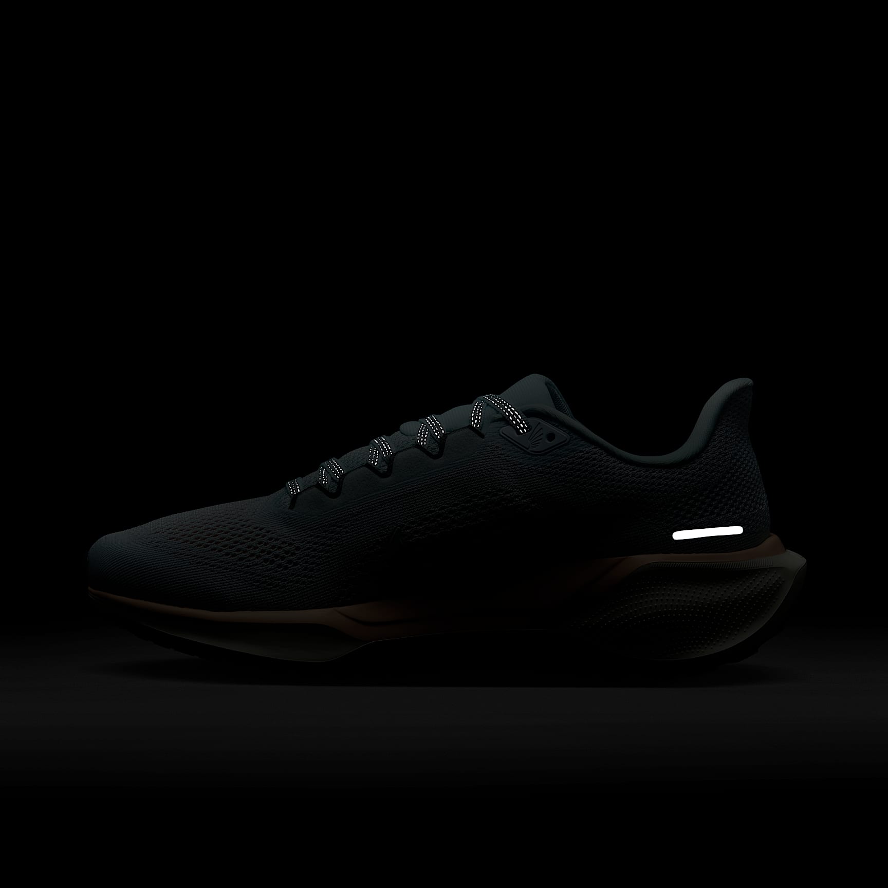 Nike Pegasus 41 PRM Women's Road Running Shoes