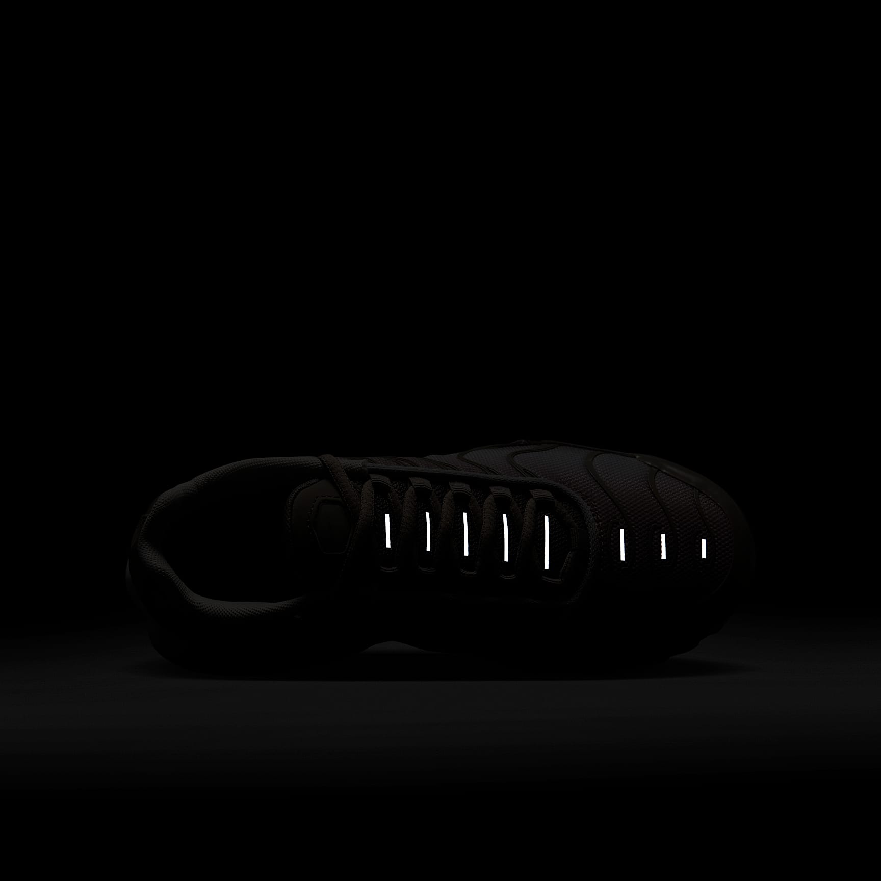 Nike Air Max Plus Big Kids' Shoes