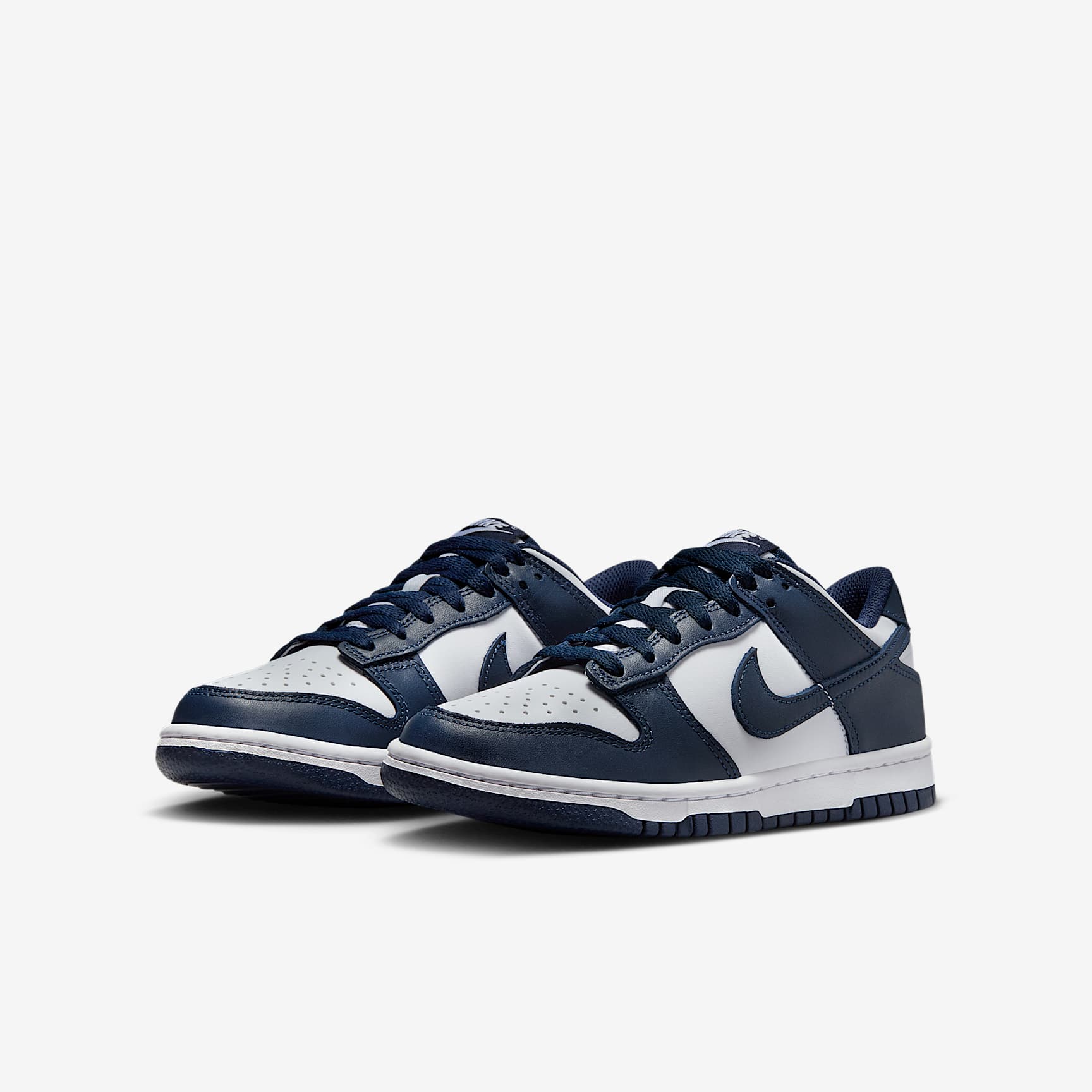 Nike Dunk Low Big Kids' Shoes