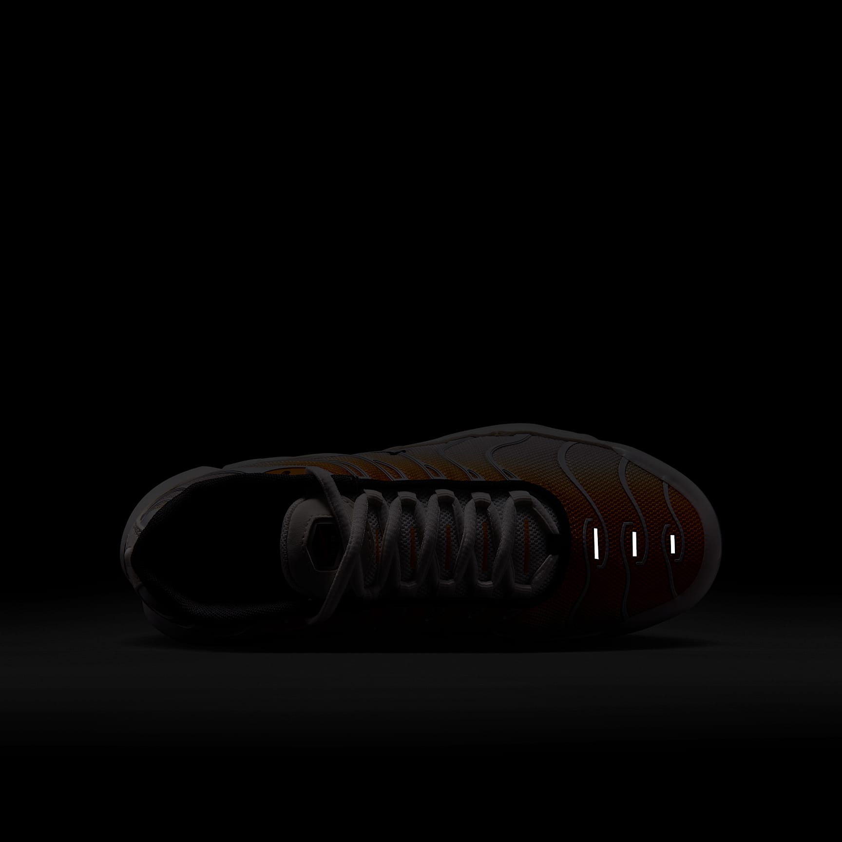 Nike Air Max Plus Big Kids' Shoes