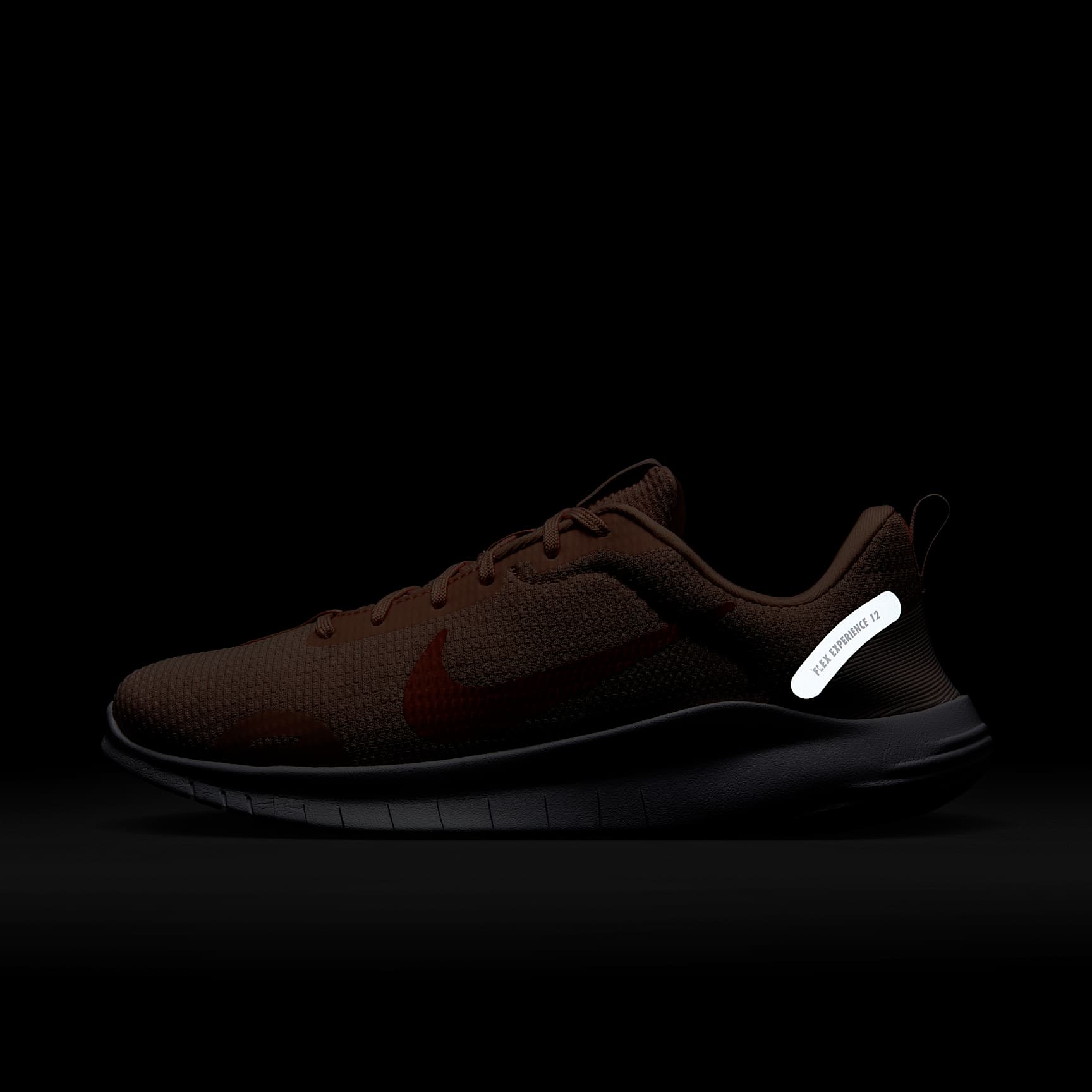 Nike Flex Experience Run 12 Women's Road Running Shoes