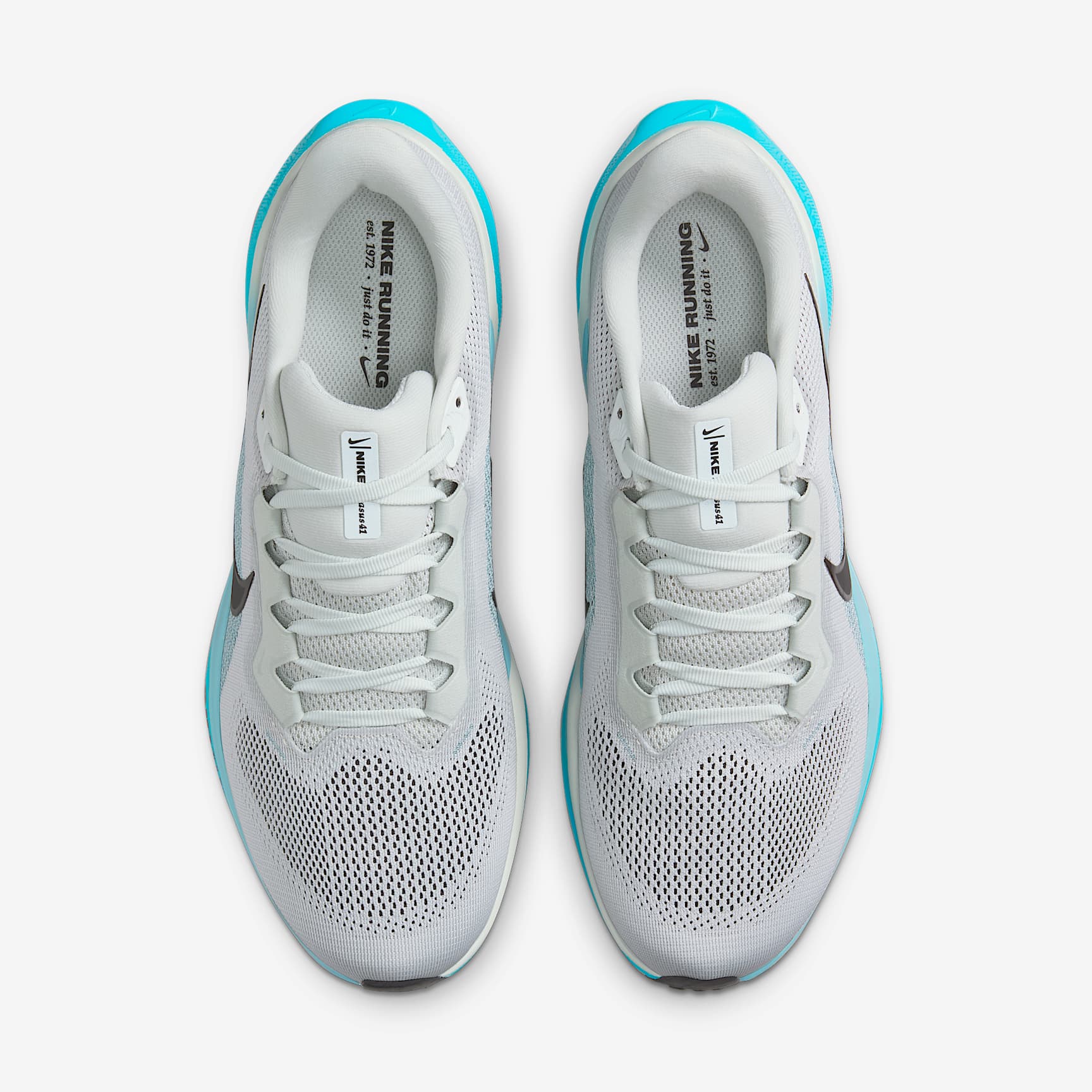 Nike Pegasus 41 Men's Road Running Shoes