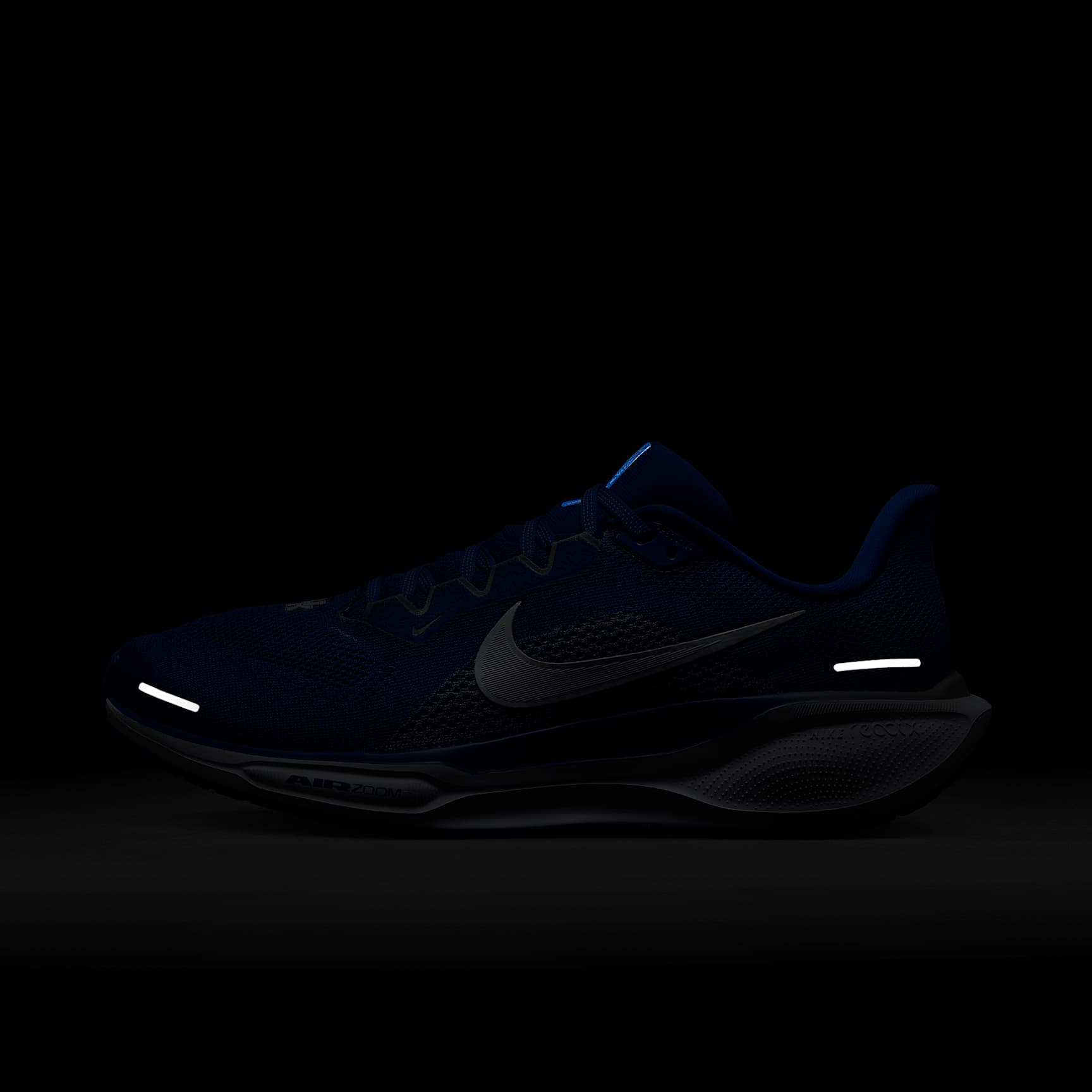 Kentucky Pegasus 41 Men's Nike College Road Running Shoes