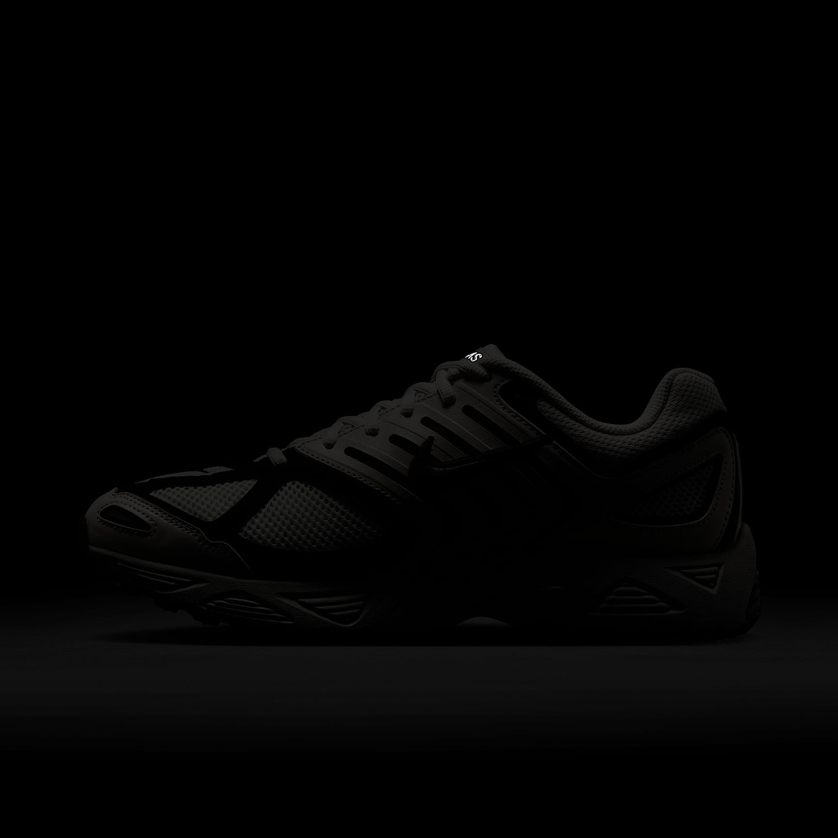 Nike Air Pegasus 2005 Men's Shoes