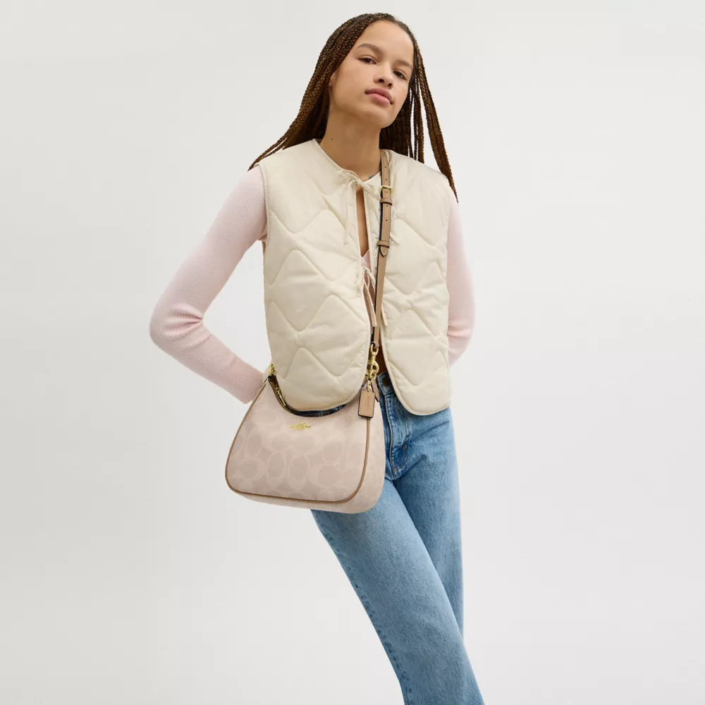 Сумка COACH Teri Hobo Bag In Blocked Signature Canvas