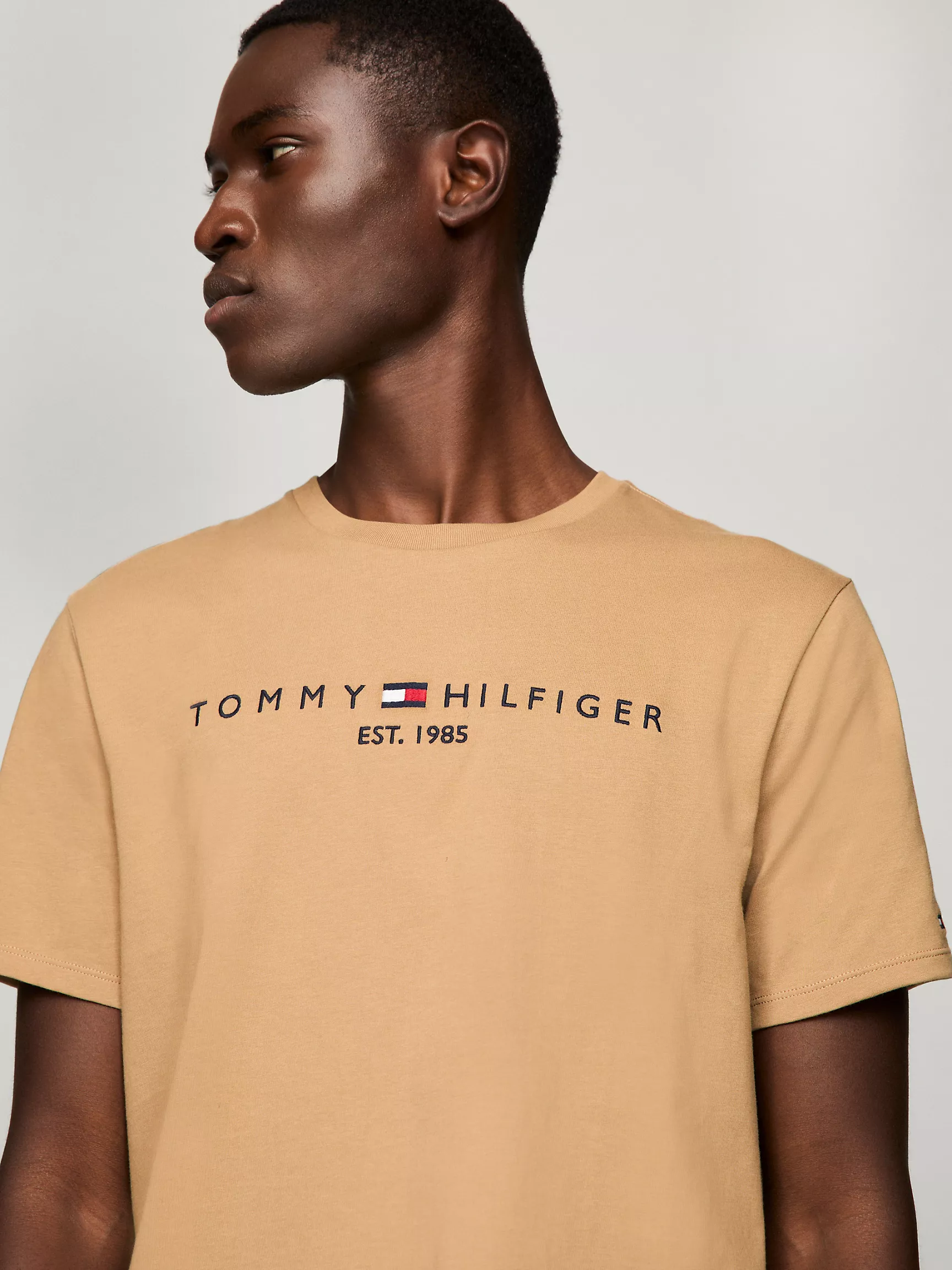 Мужская футболка Tommy Hilfiger, Футболка с вышитым логотипом Tommy