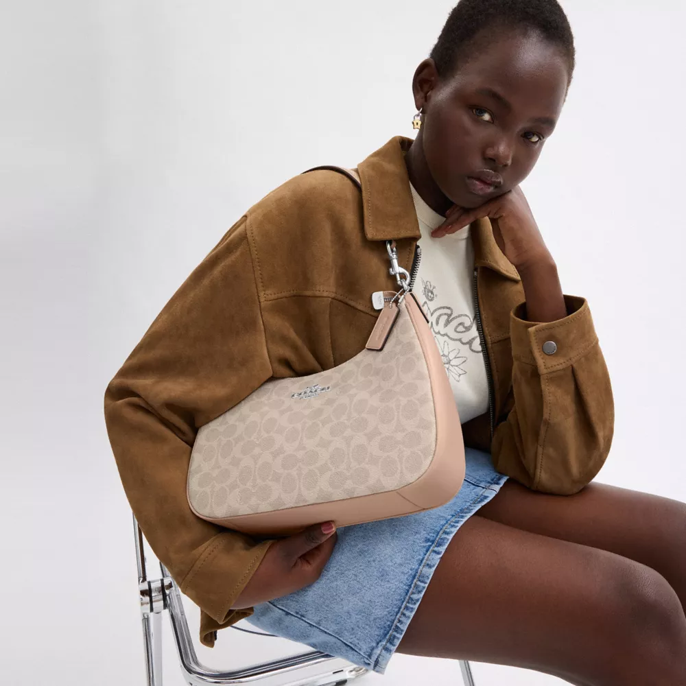 Сумка COACH Teri Hobo Bag In Signature Canvas