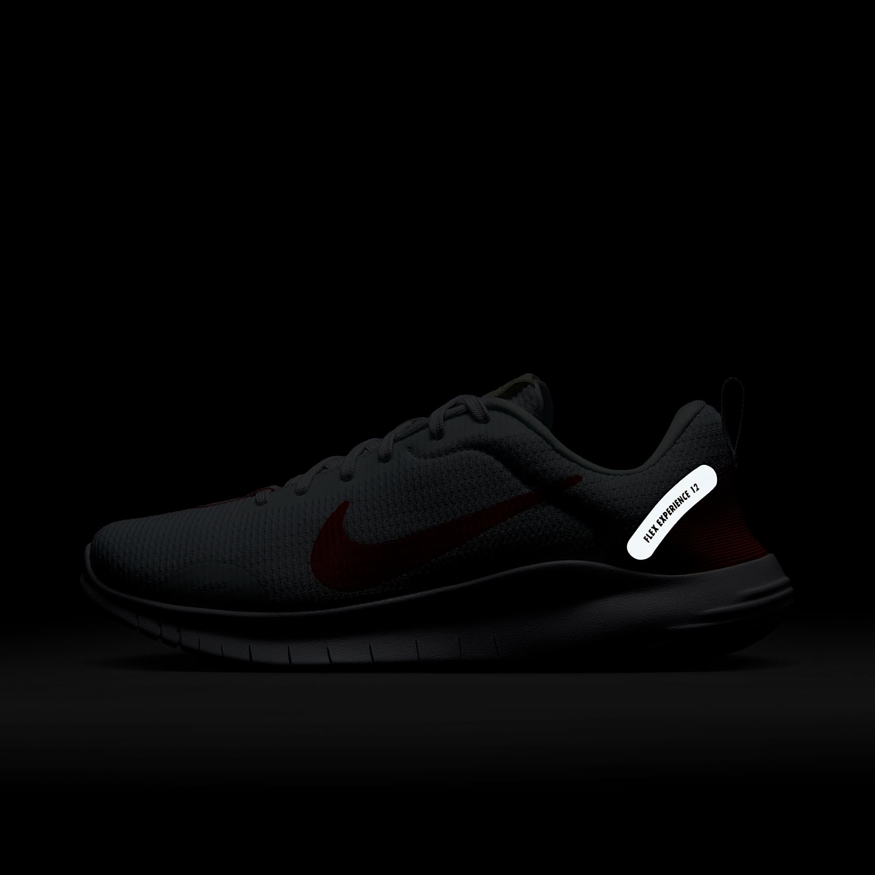 Nike Flex Experience Run 12 Women's Road Running Shoes