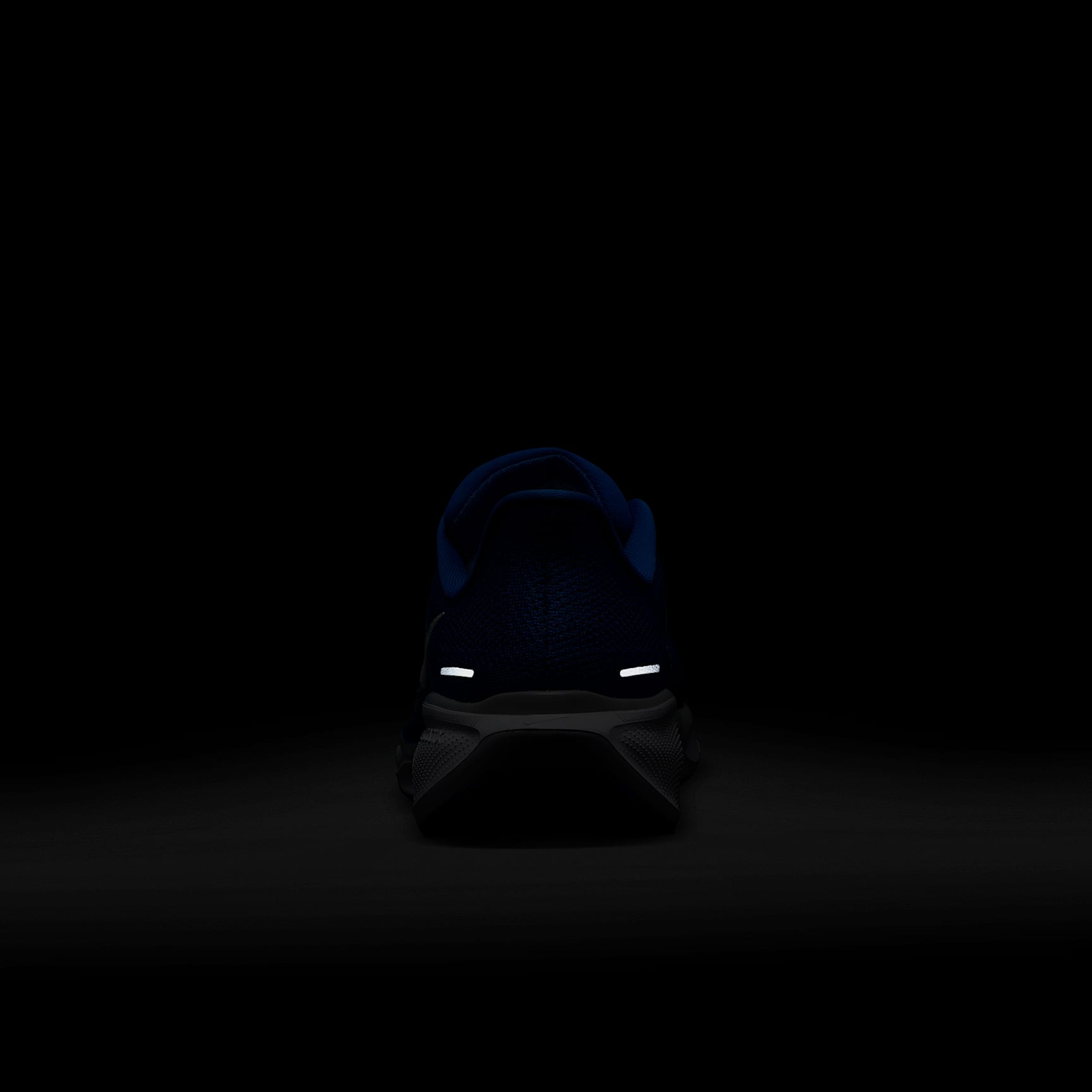 Kentucky Pegasus 41 Men's Nike College Road Running Shoes