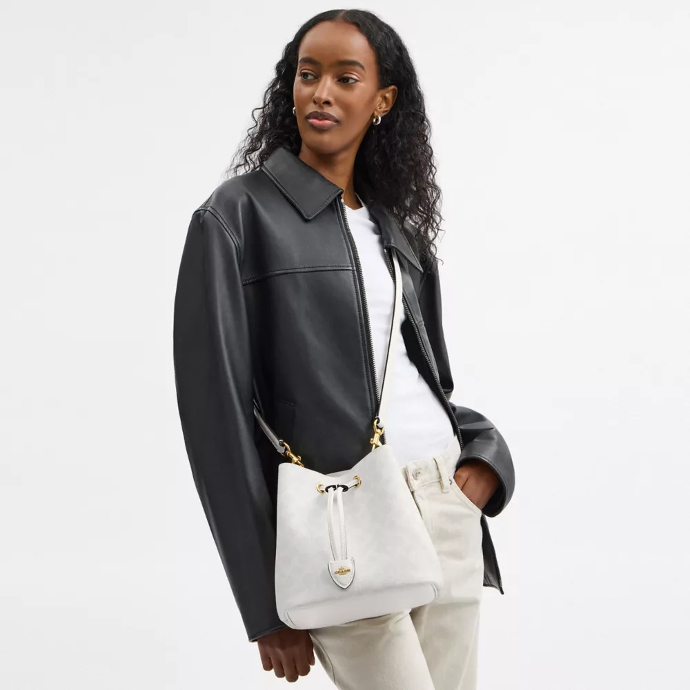 Сумка COACH Rowan Bucket Bag In Signature Canvas