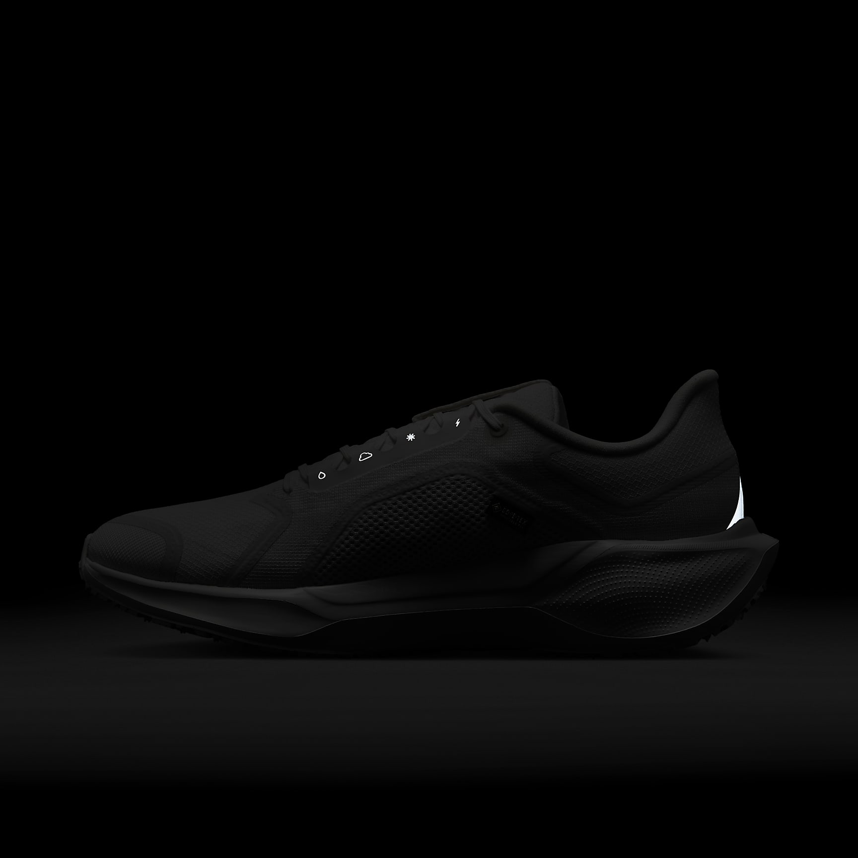 Nike Pegasus 41 GORE-TEX Men's Waterproof Road Running Shoes