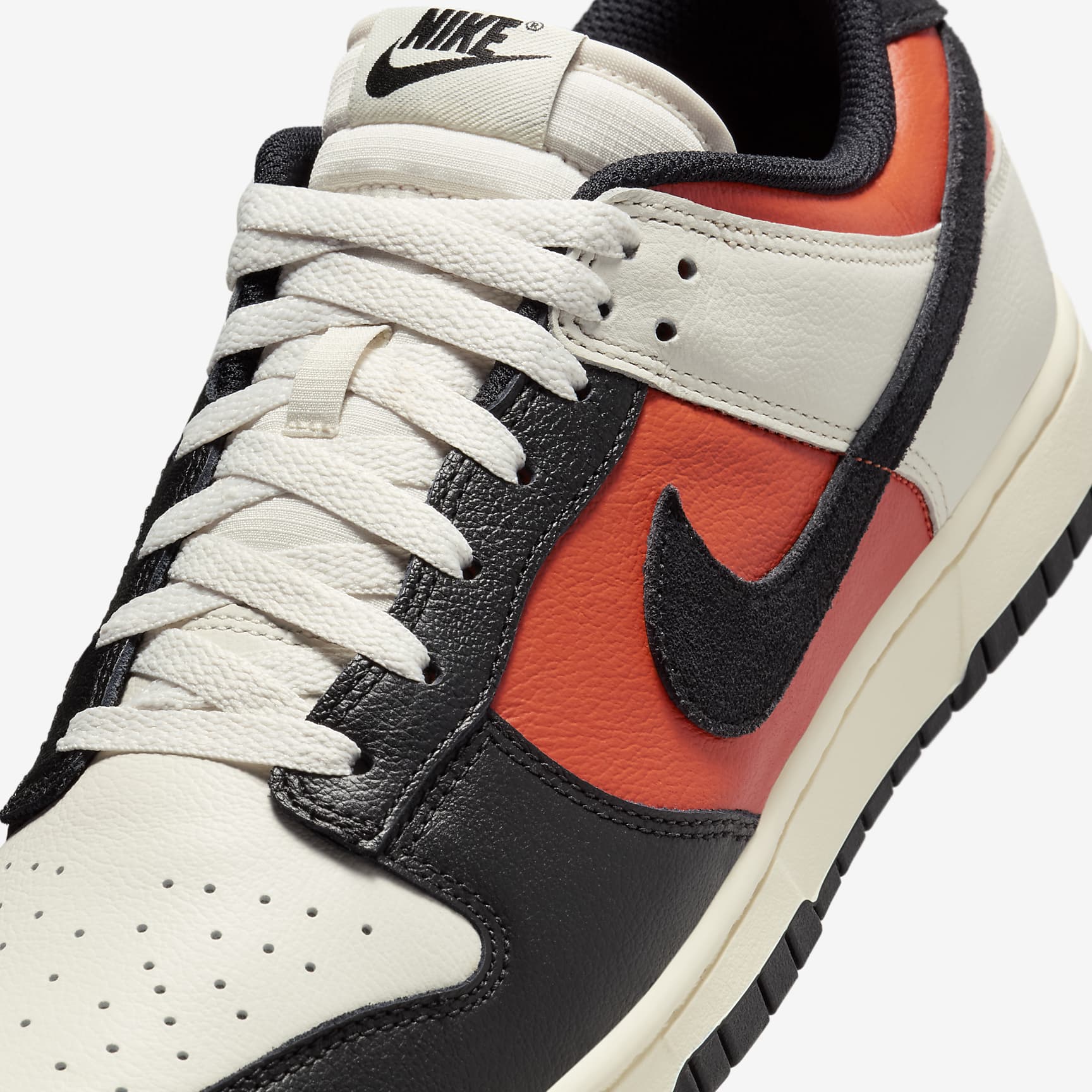 Nike Dunk Low Retro Men's Shoes