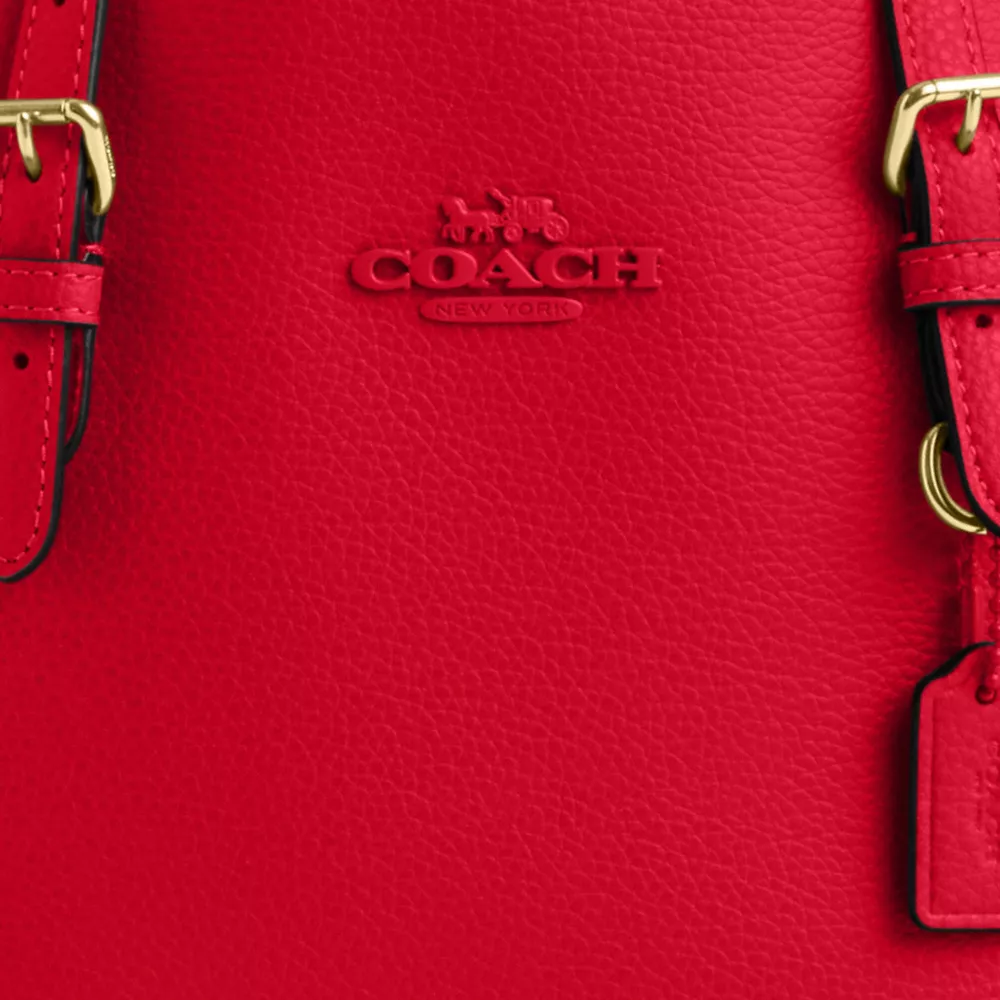 Сумка COACH Mollie Tote Bag 25