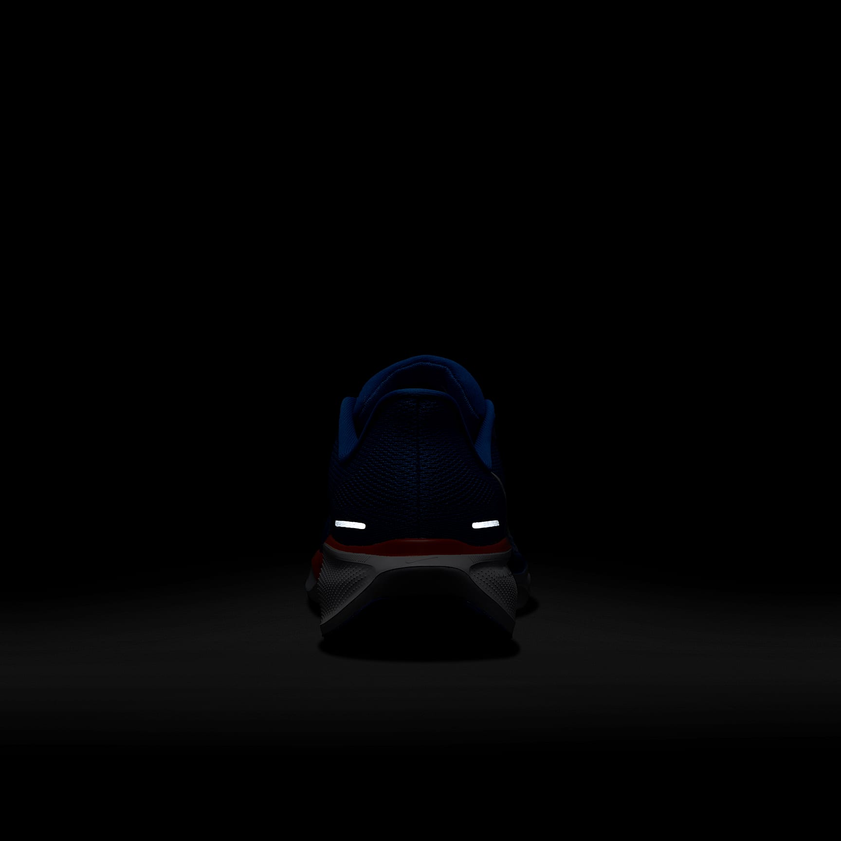 Florida Pegasus 41 Men's Nike College Road Running Shoes