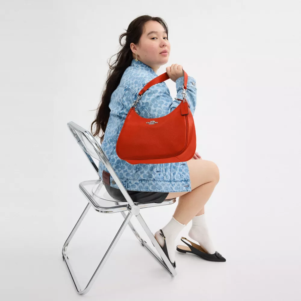 Сумка COACH Teri Hobo Bag
