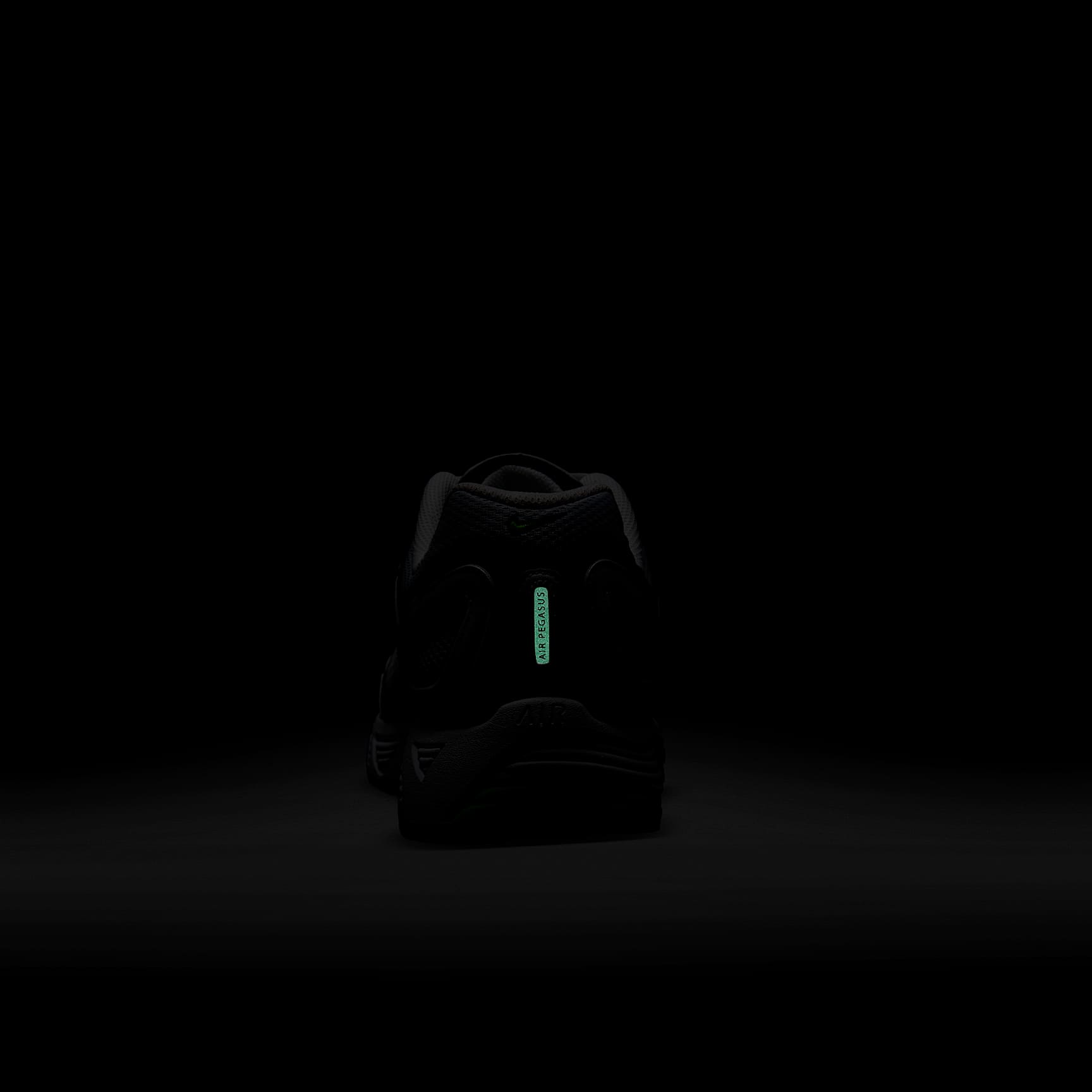 Nike Air Pegasus 2005 Men's Shoes