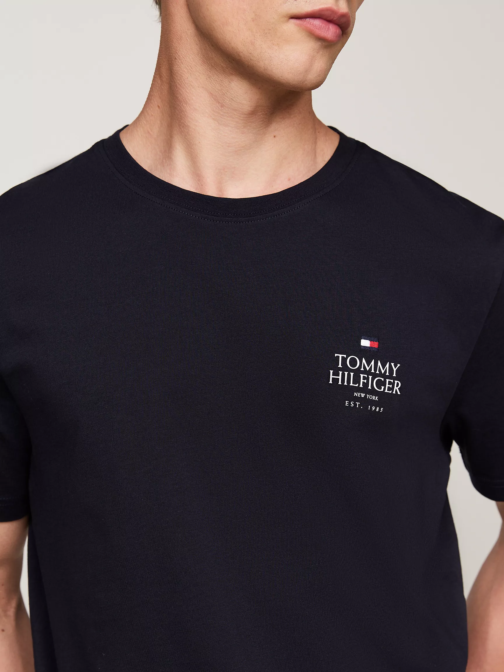 Мужская футболка Tommy Hilfiger, Футболка с логотипом Tommy