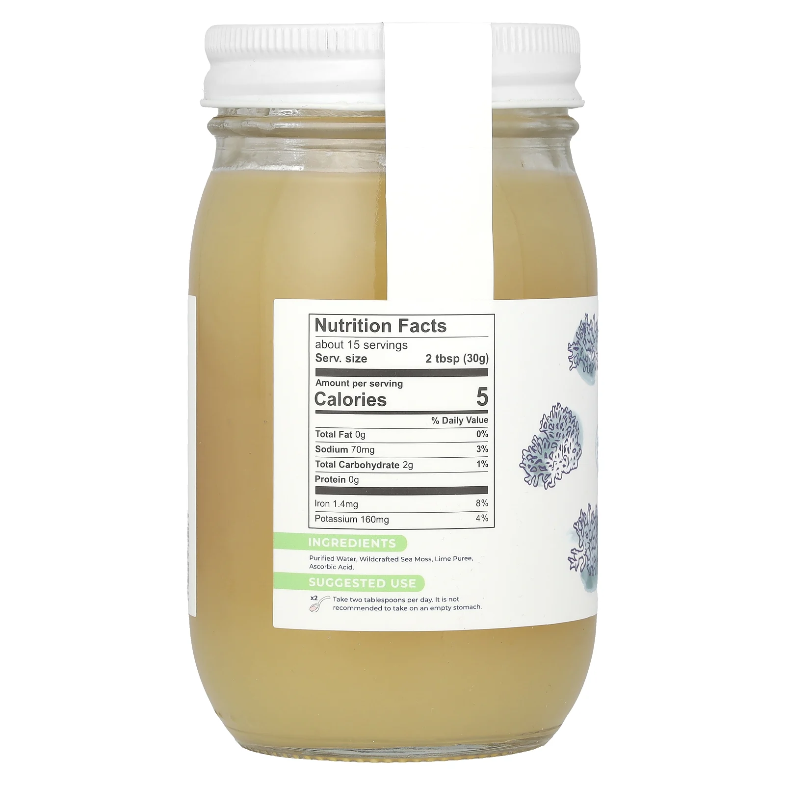 True Sea Moss, Гель с морским мохом, дикорастущий, 453 г (16 жидк. Унций)