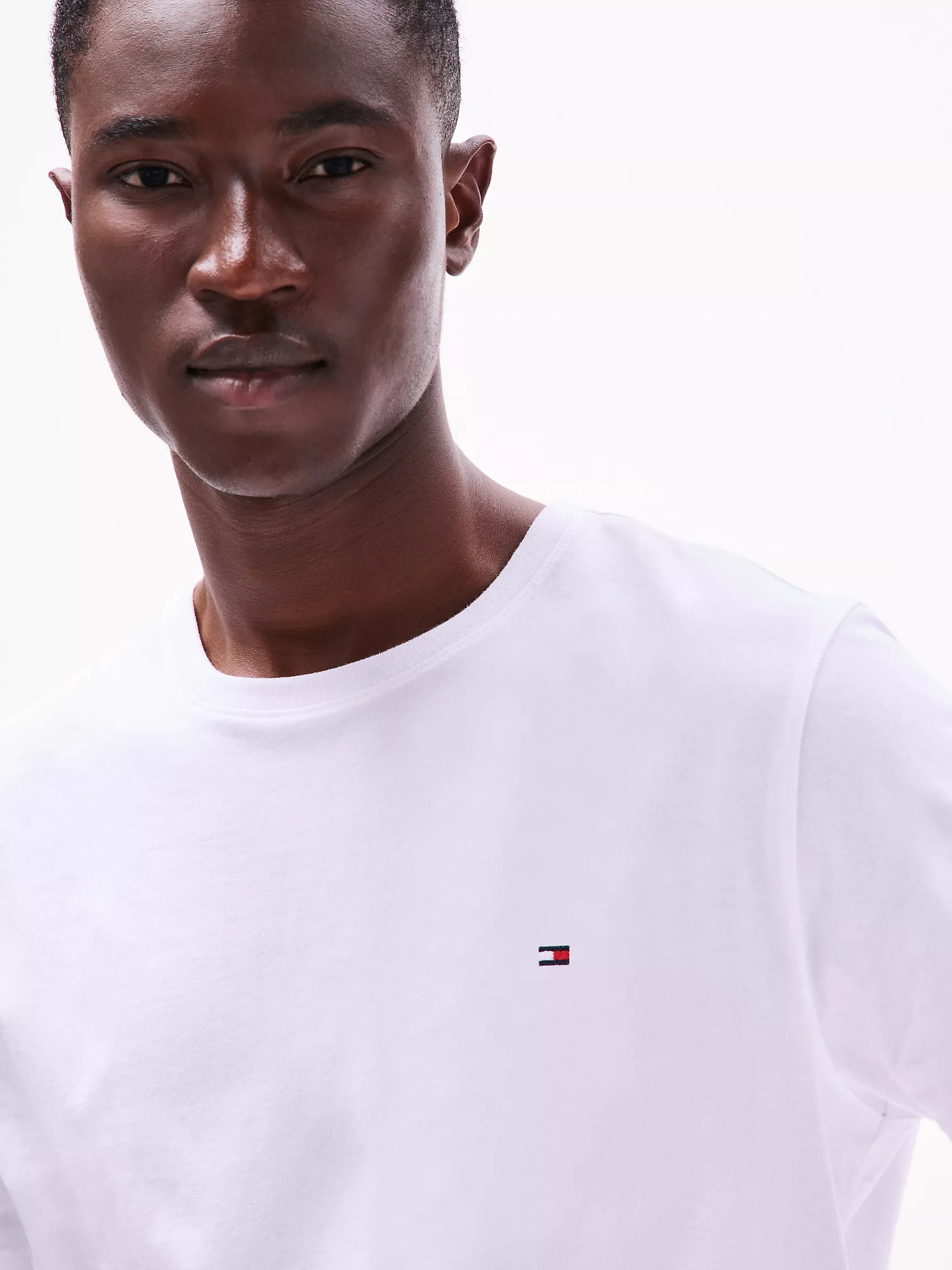 Мужская футболка Tommy Hilfiger, Повседневная футболка