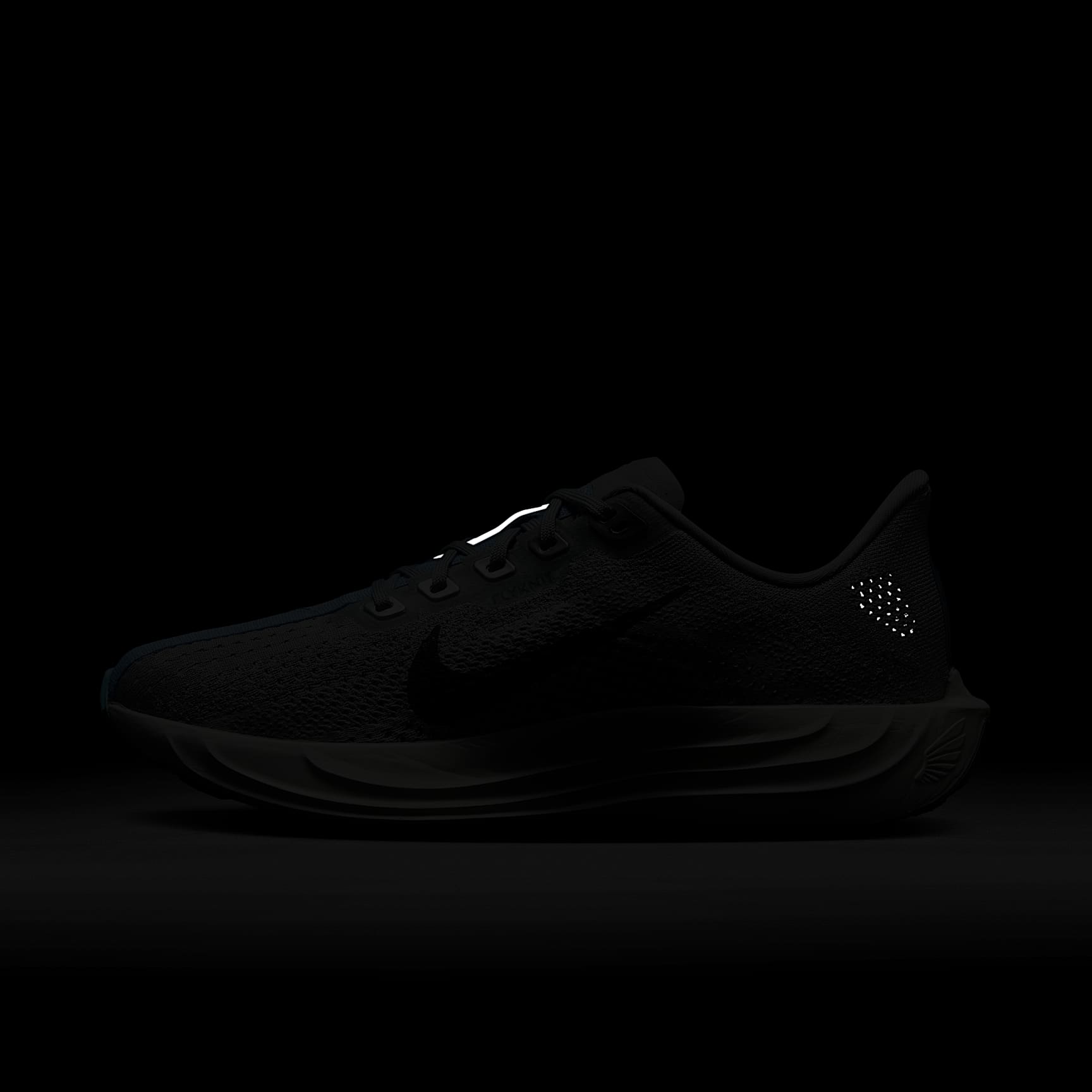 Nike Pegasus Plus Women's Road Running Shoes