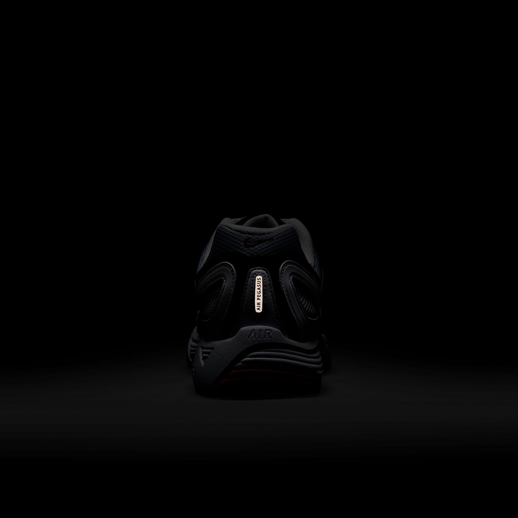 Nike Air Pegasus 2005 Men's Shoes