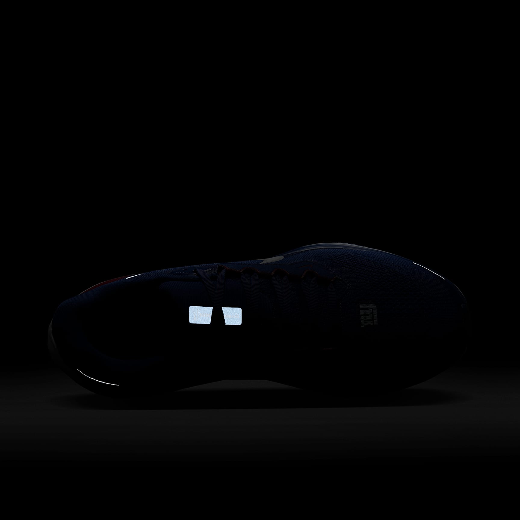 Nike Pegasus 41 NFL New York Giants Men's Road Running Shoes