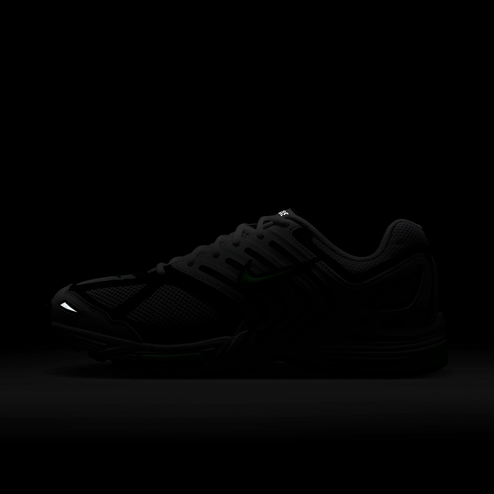 Nike Air Pegasus 2005 Men's Shoes