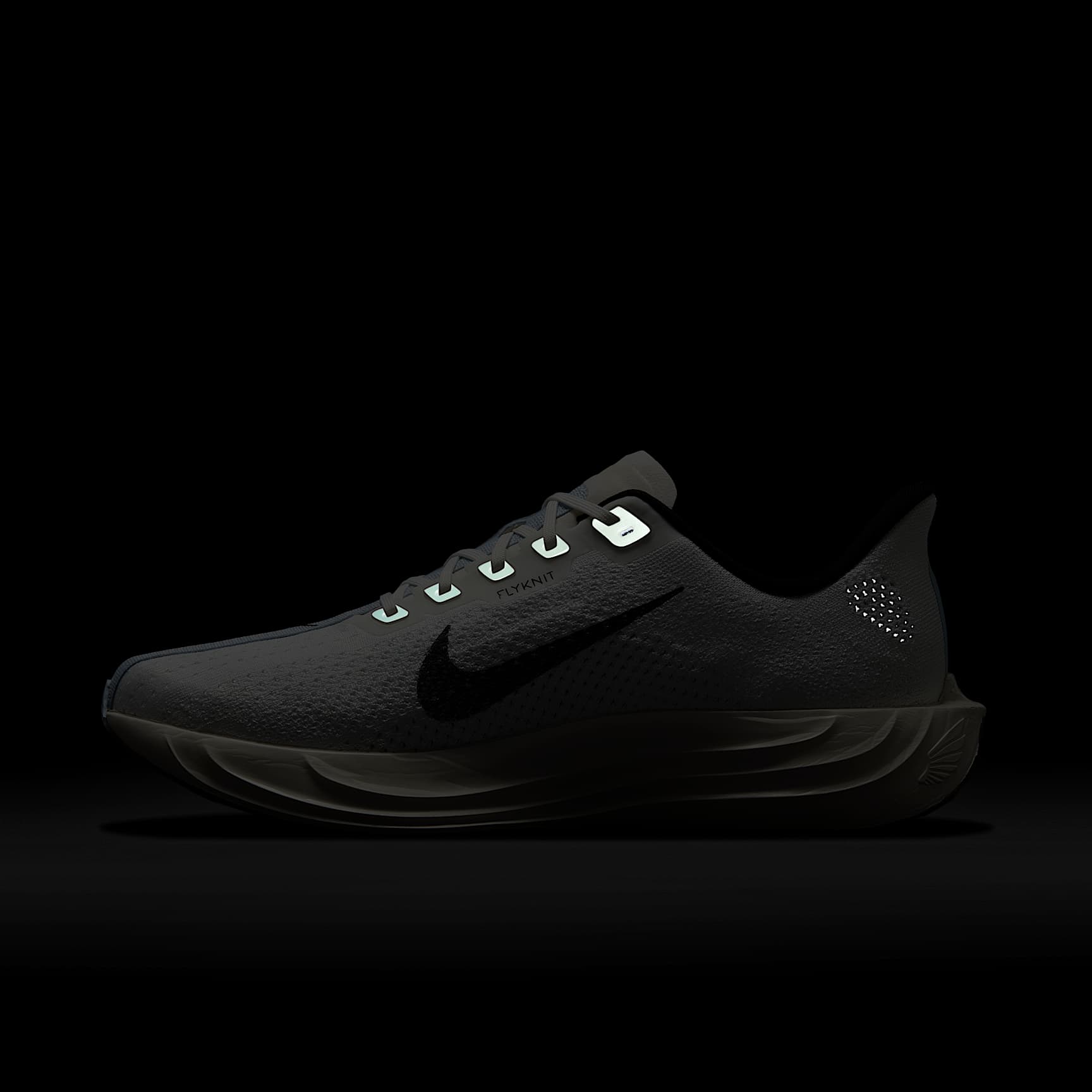 Nike Pegasus Plus Men's Road Running Shoes