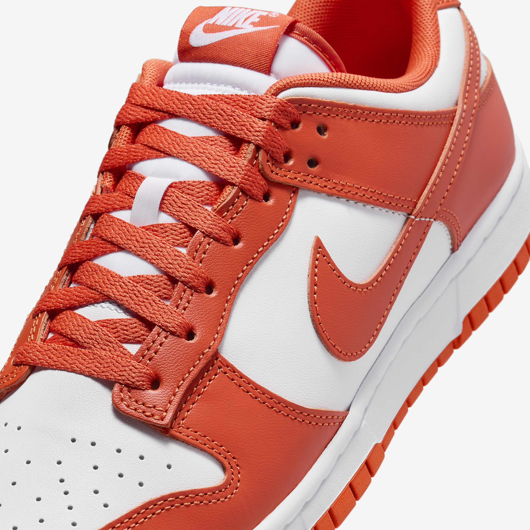 Nike Dunk Low Retro Men's Shoes